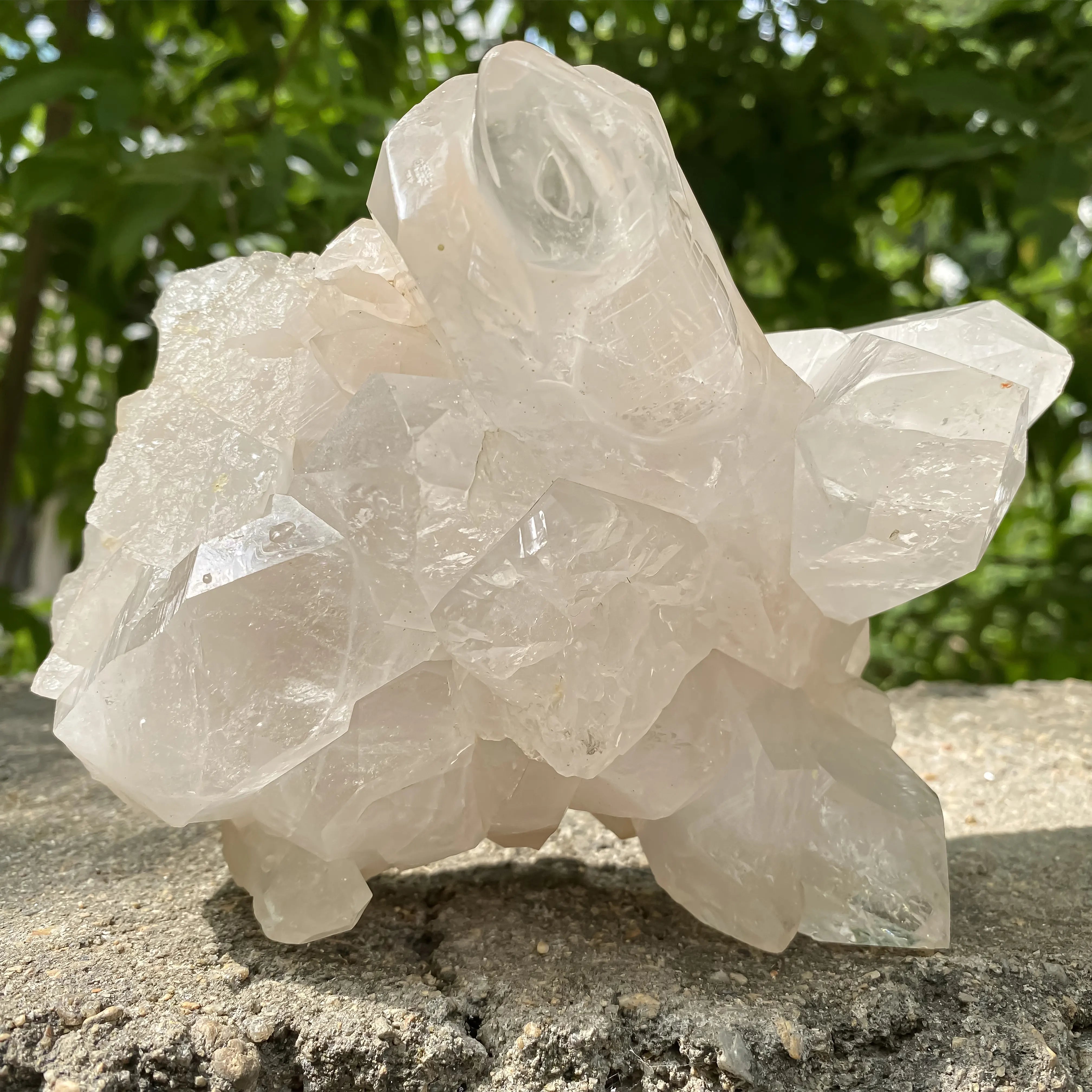 Natural Himalayan White Quartz Lizard Cluster 1650g