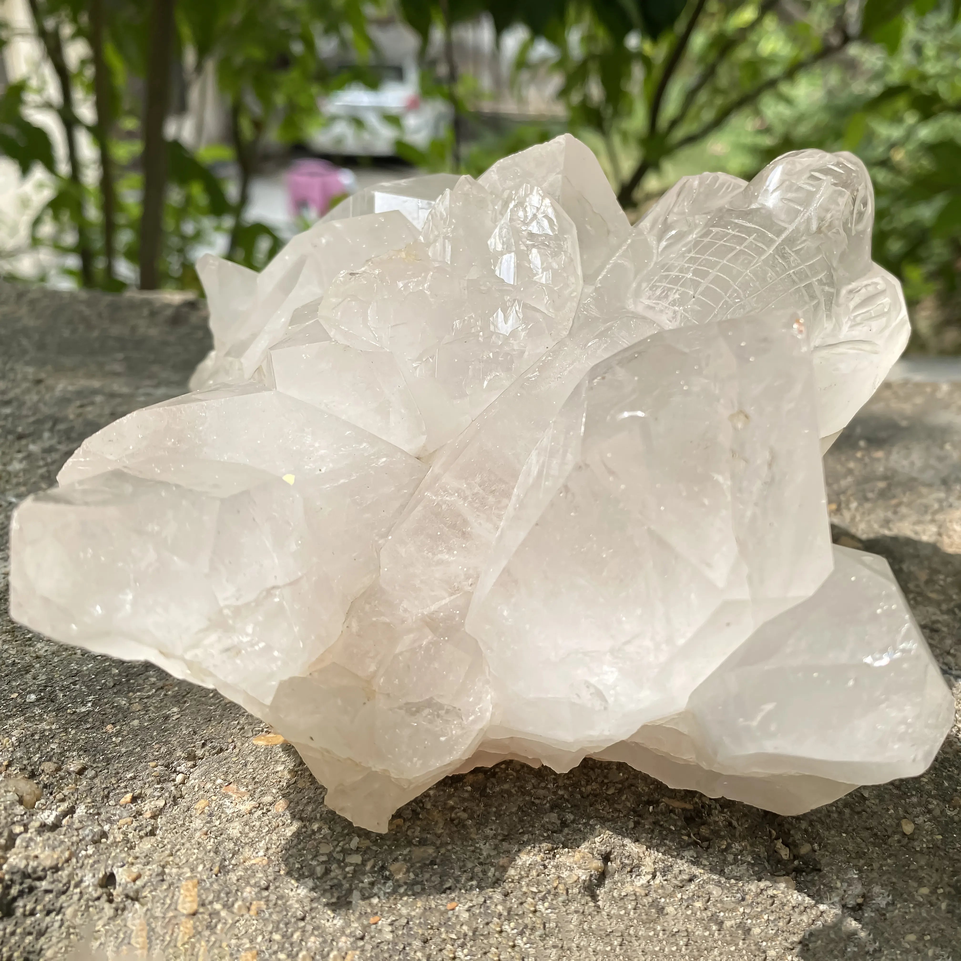 Natural Himalayan White Quartz Lizard Cluster 1650g