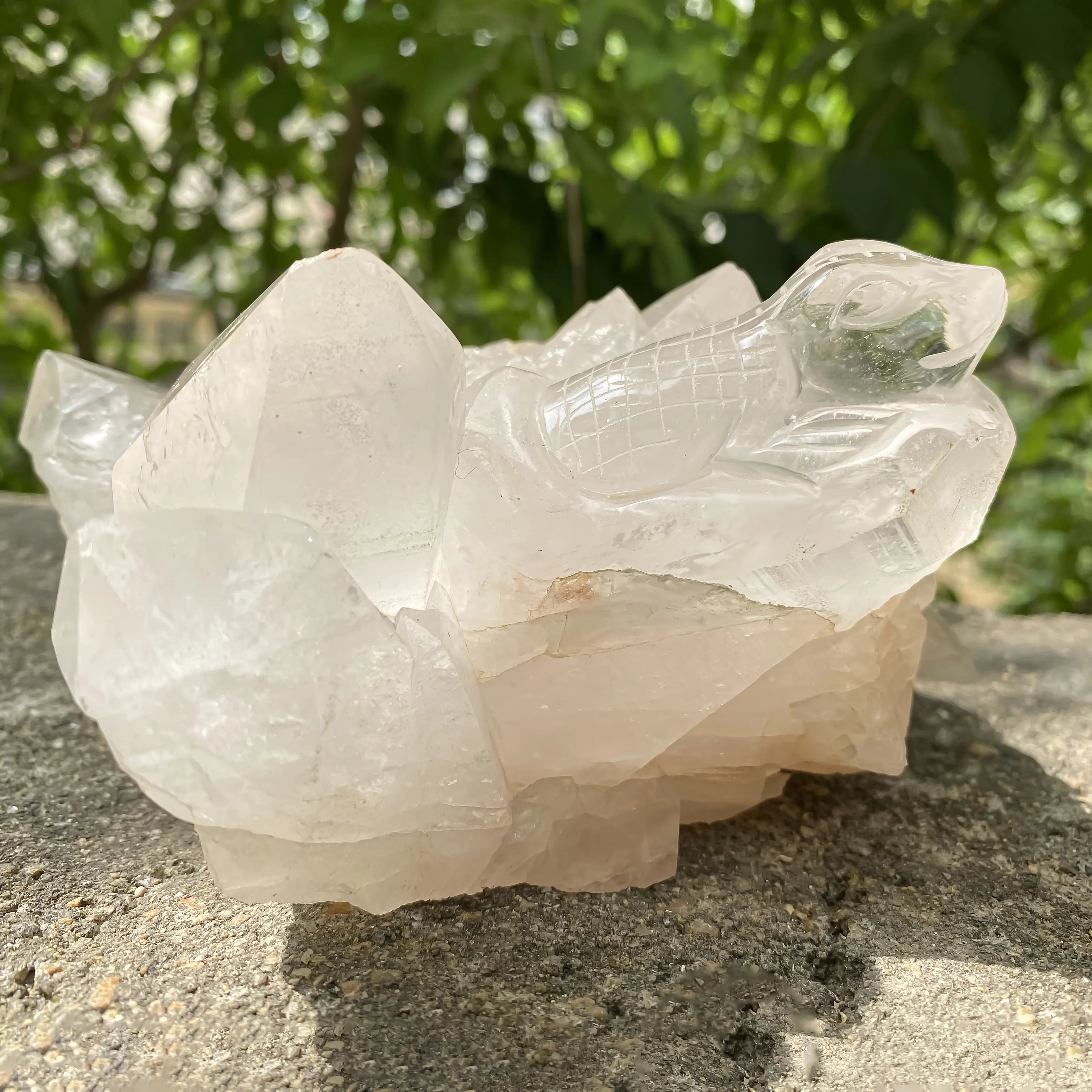Natural Himalayan White Quartz Lizard Cluster 1650g