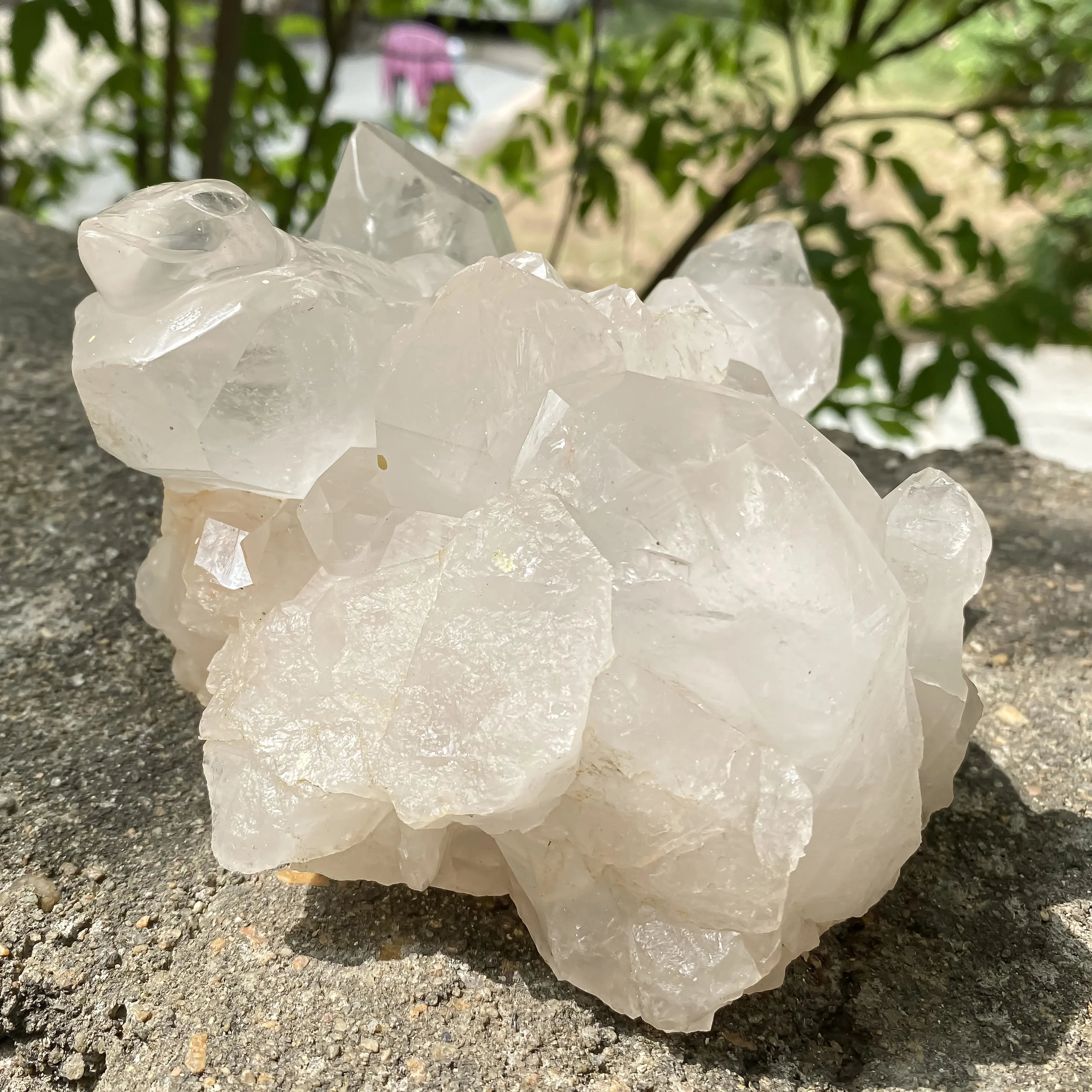 Natural Himalayan White Quartz Lizard Cluster 1650g