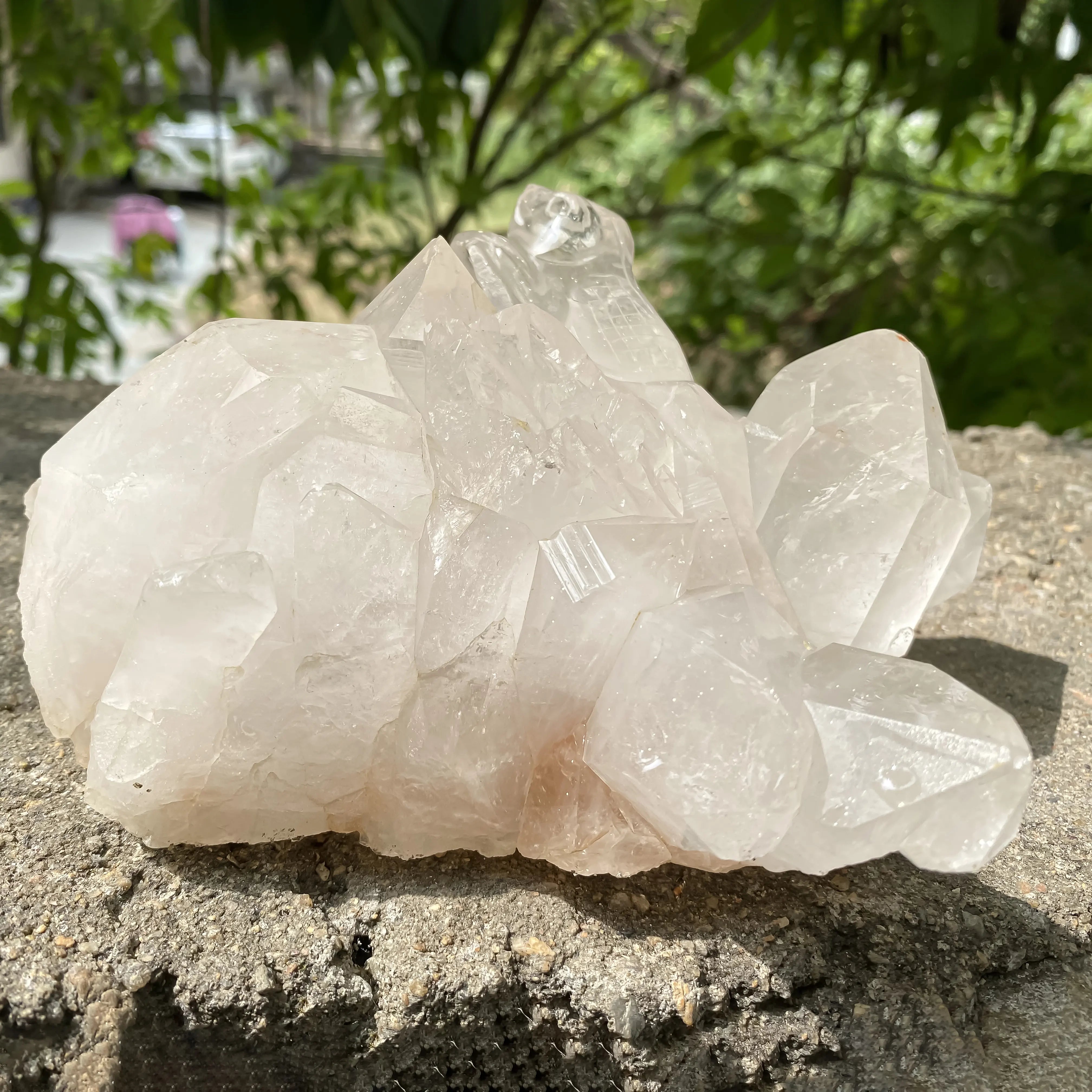 Natural Himalayan White Quartz Lizard Cluster 1650g