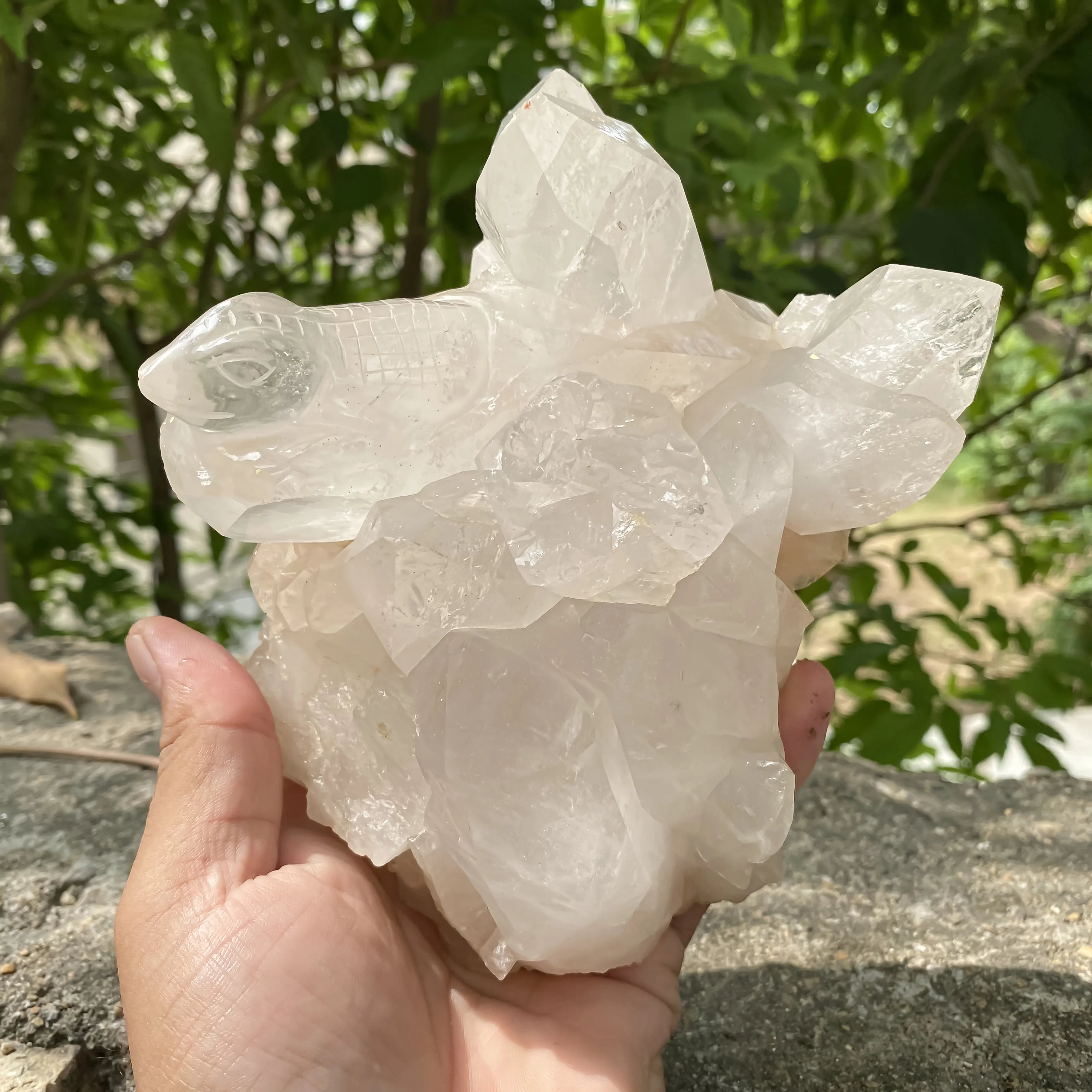 Natural Himalayan White Quartz Lizard Cluster 1650g