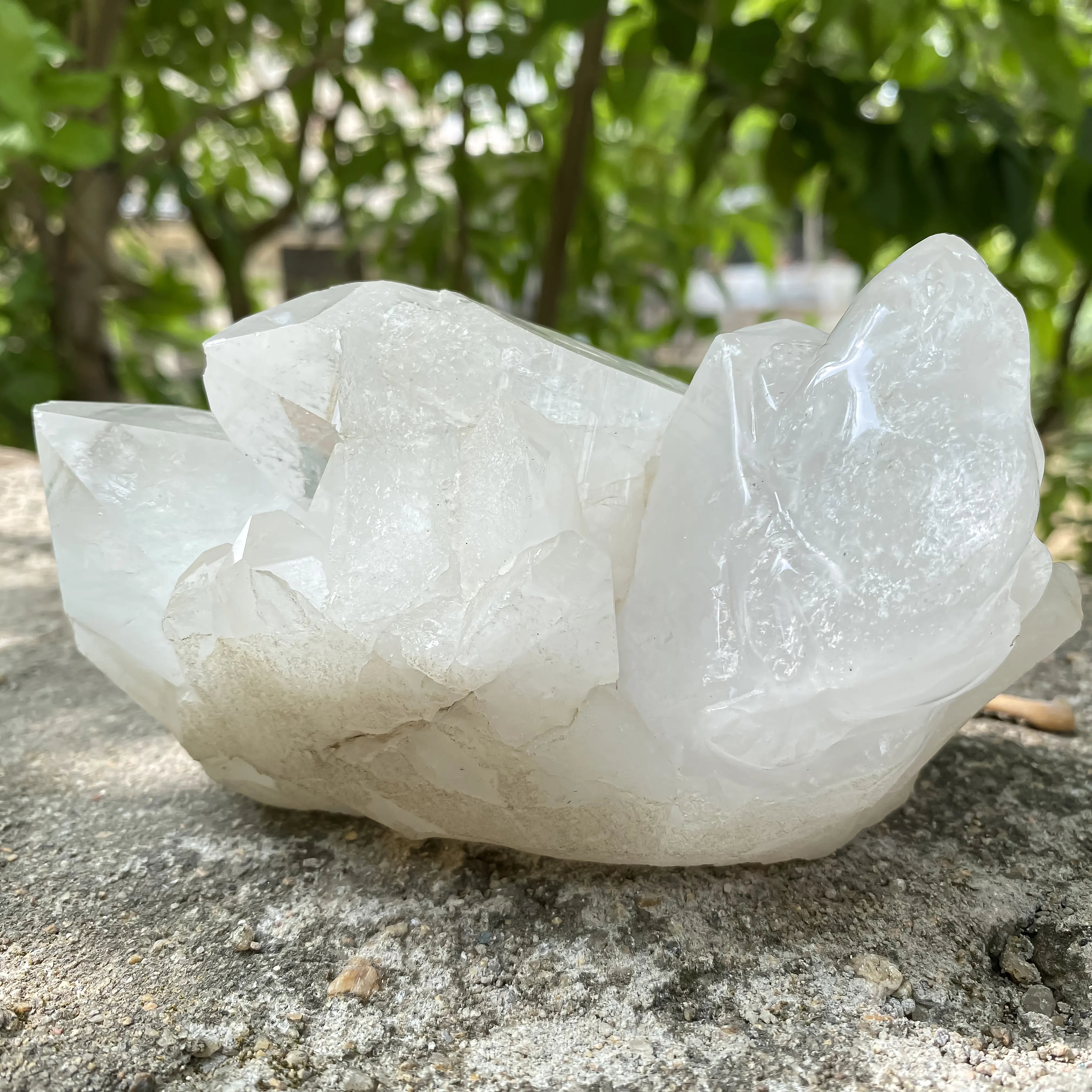 Natural Himalayan White Quartz Cluster 860g Frog Shape Crystal