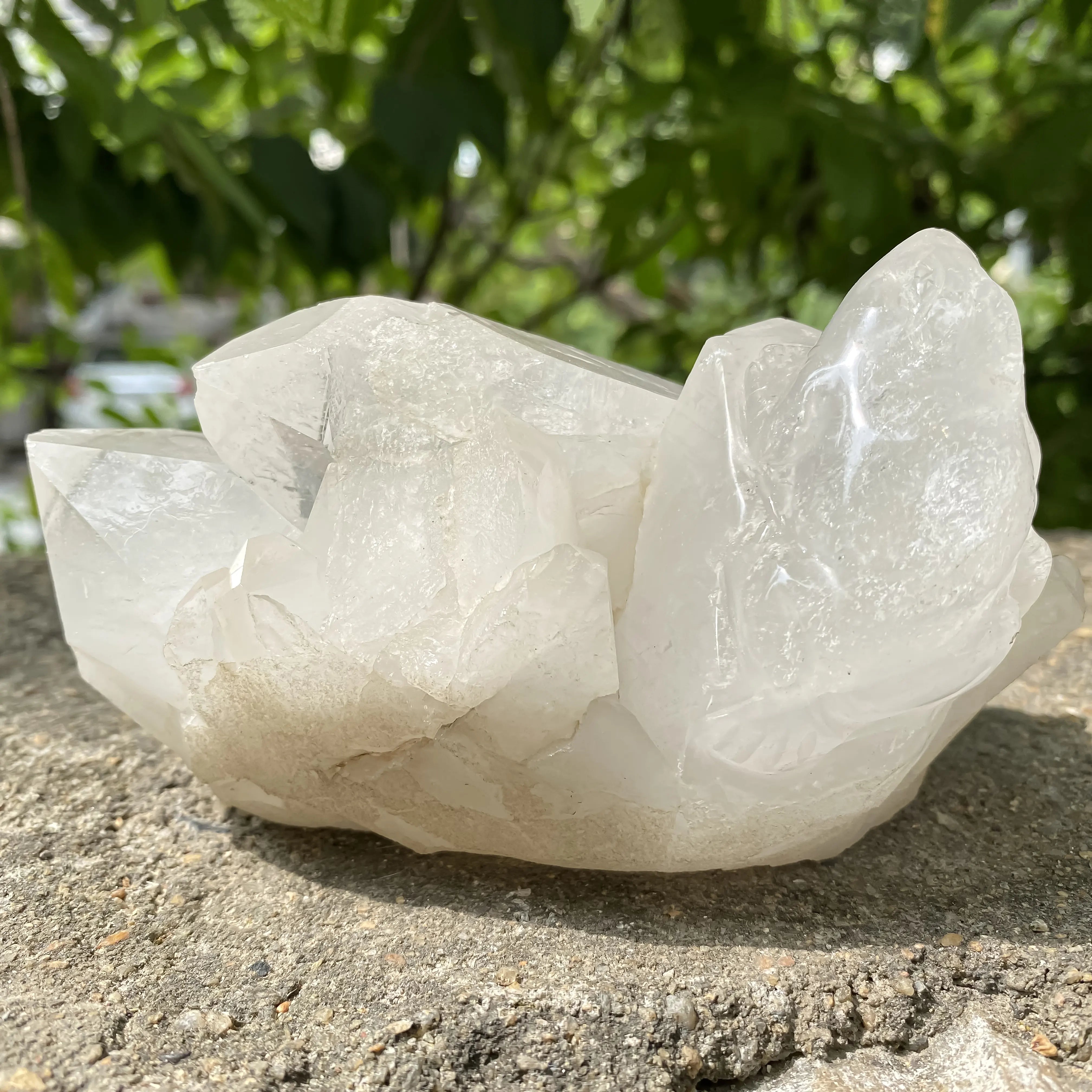 Natural Himalayan White Quartz Cluster 860g Frog Shape Crystal