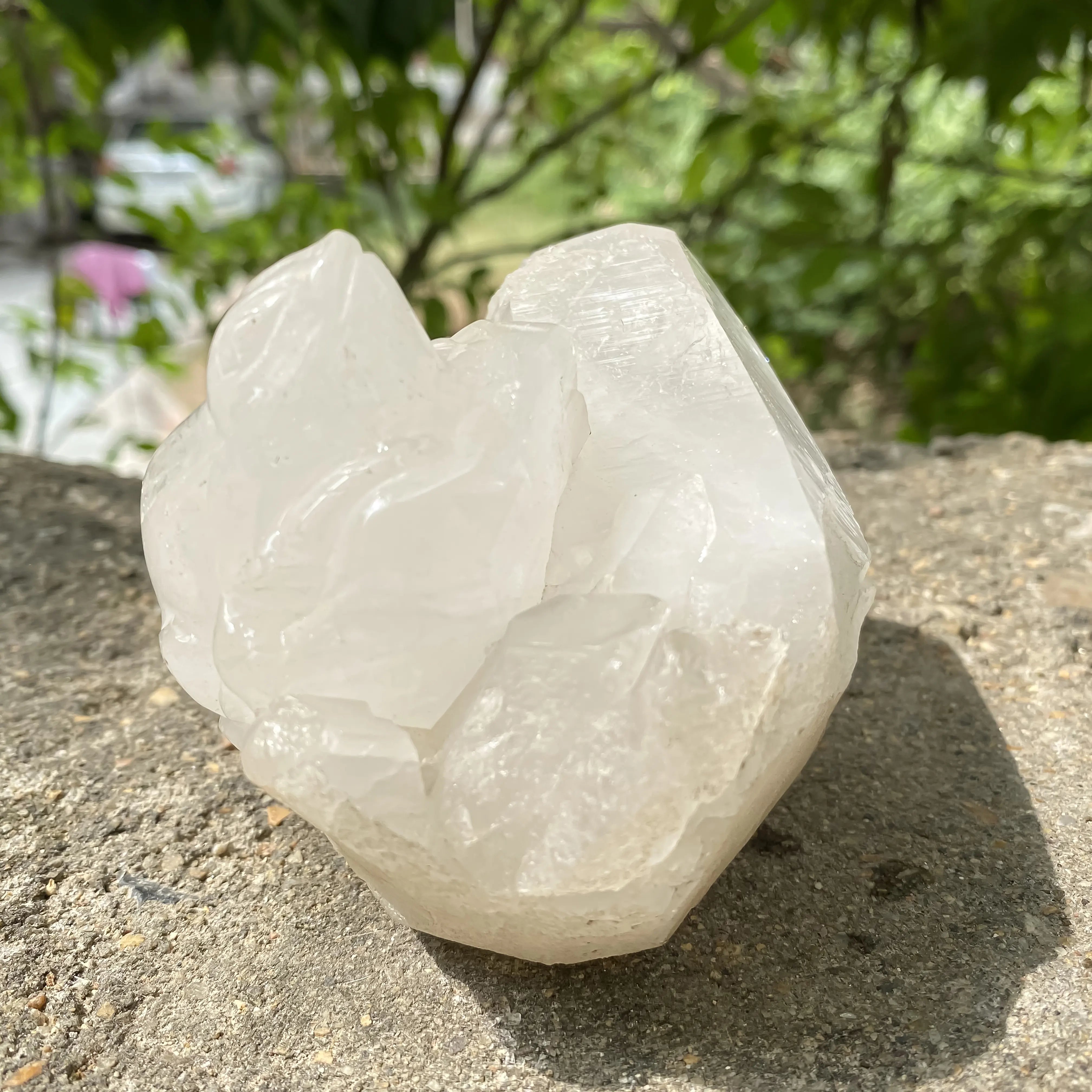 Natural Himalayan White Quartz Cluster 860g Frog Shape Crystal