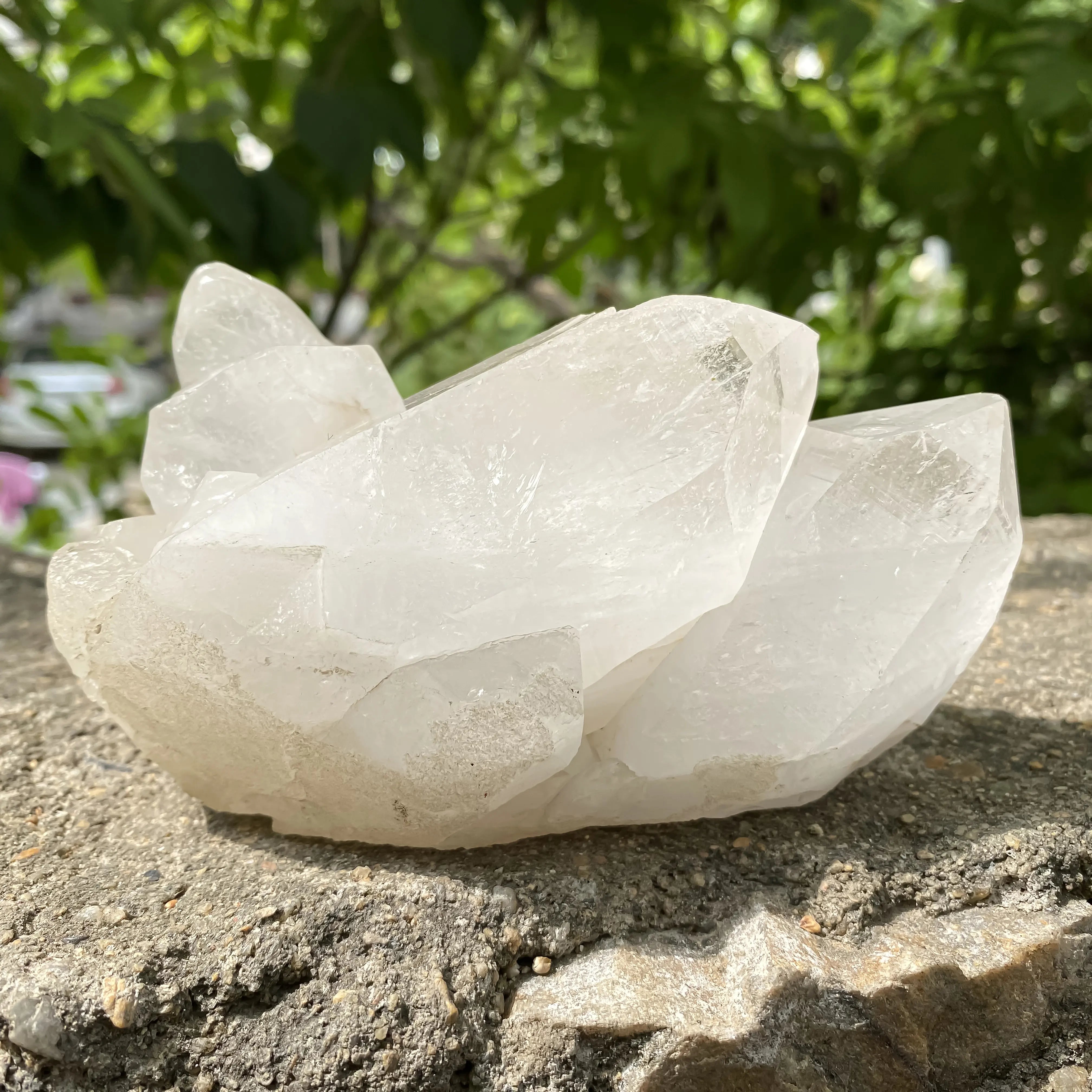Natural Himalayan White Quartz Cluster 860g Frog Shape Crystal