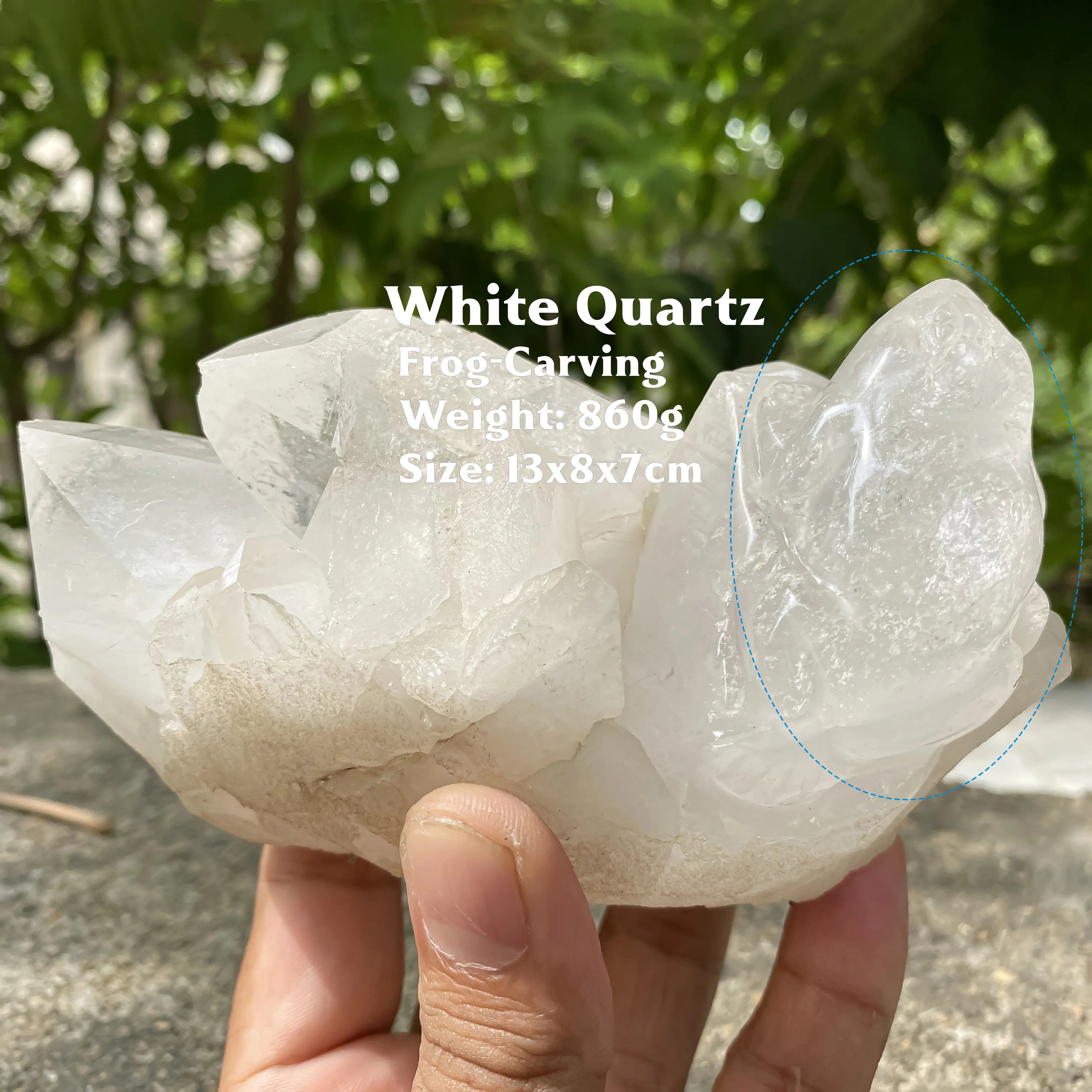 Natural Himalayan White Quartz Cluster 860g Frog Shape Crystal