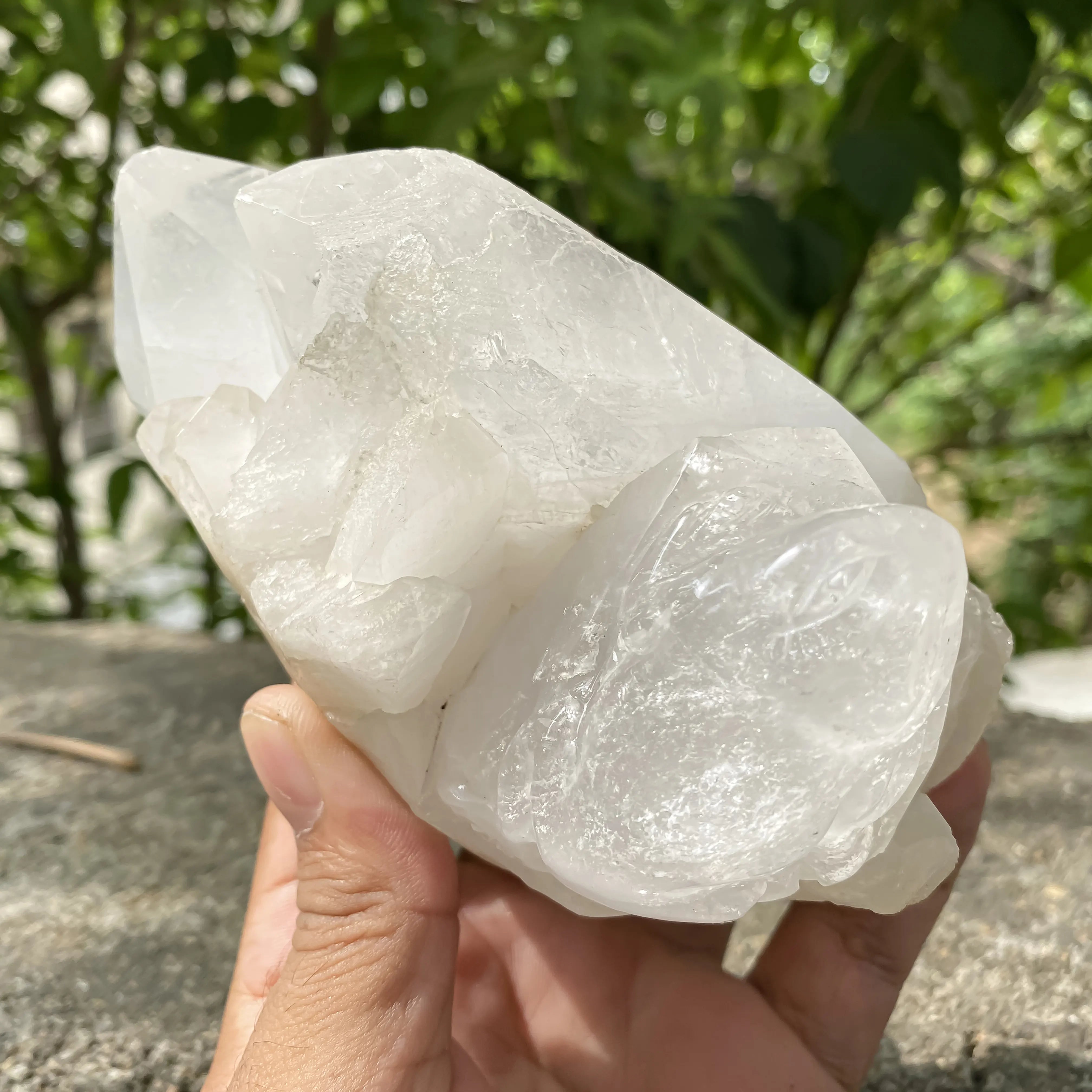 Natural Himalayan White Quartz Cluster 860g Frog Shape Crystal