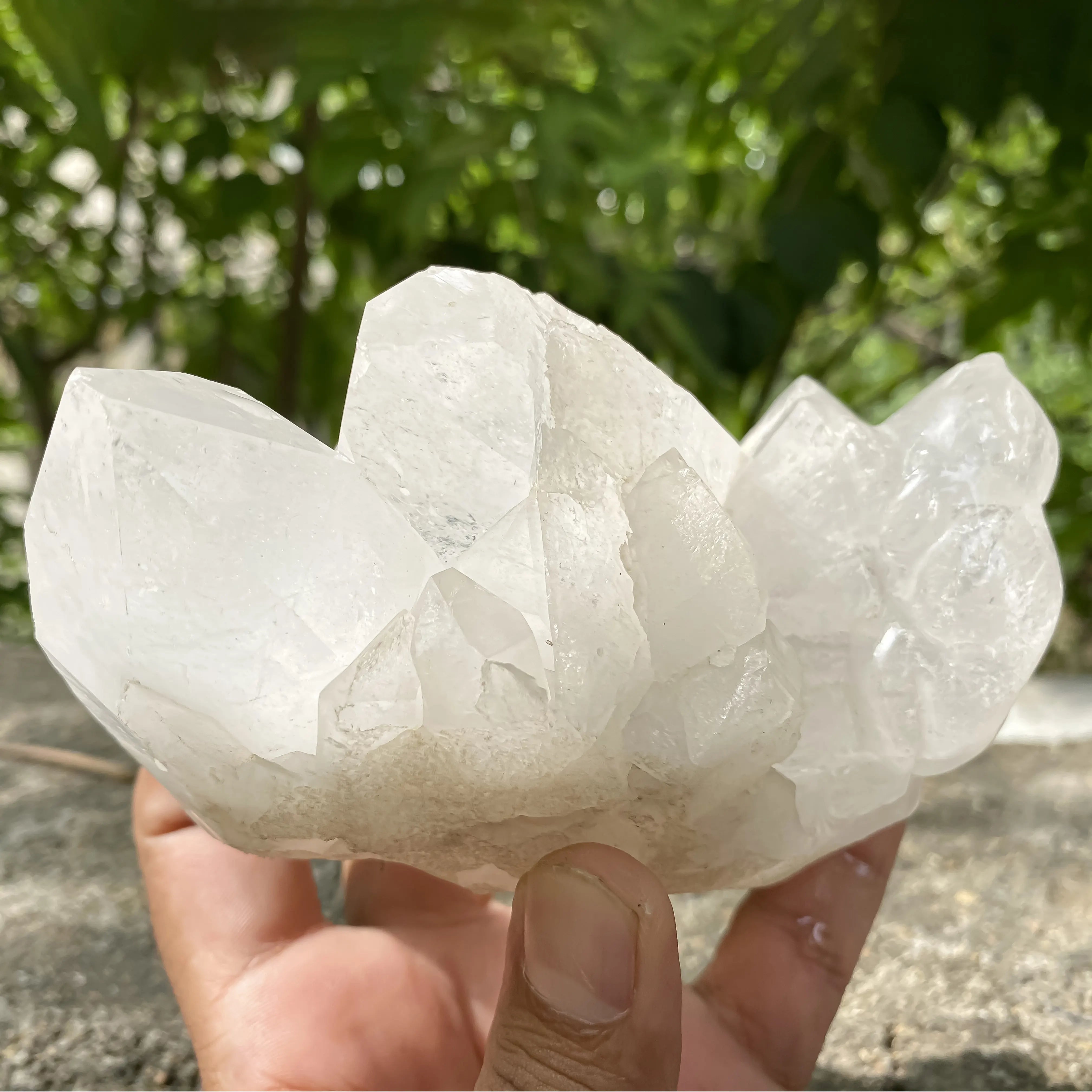 Natural Himalayan White Quartz Cluster 860g Frog Shape Crystal