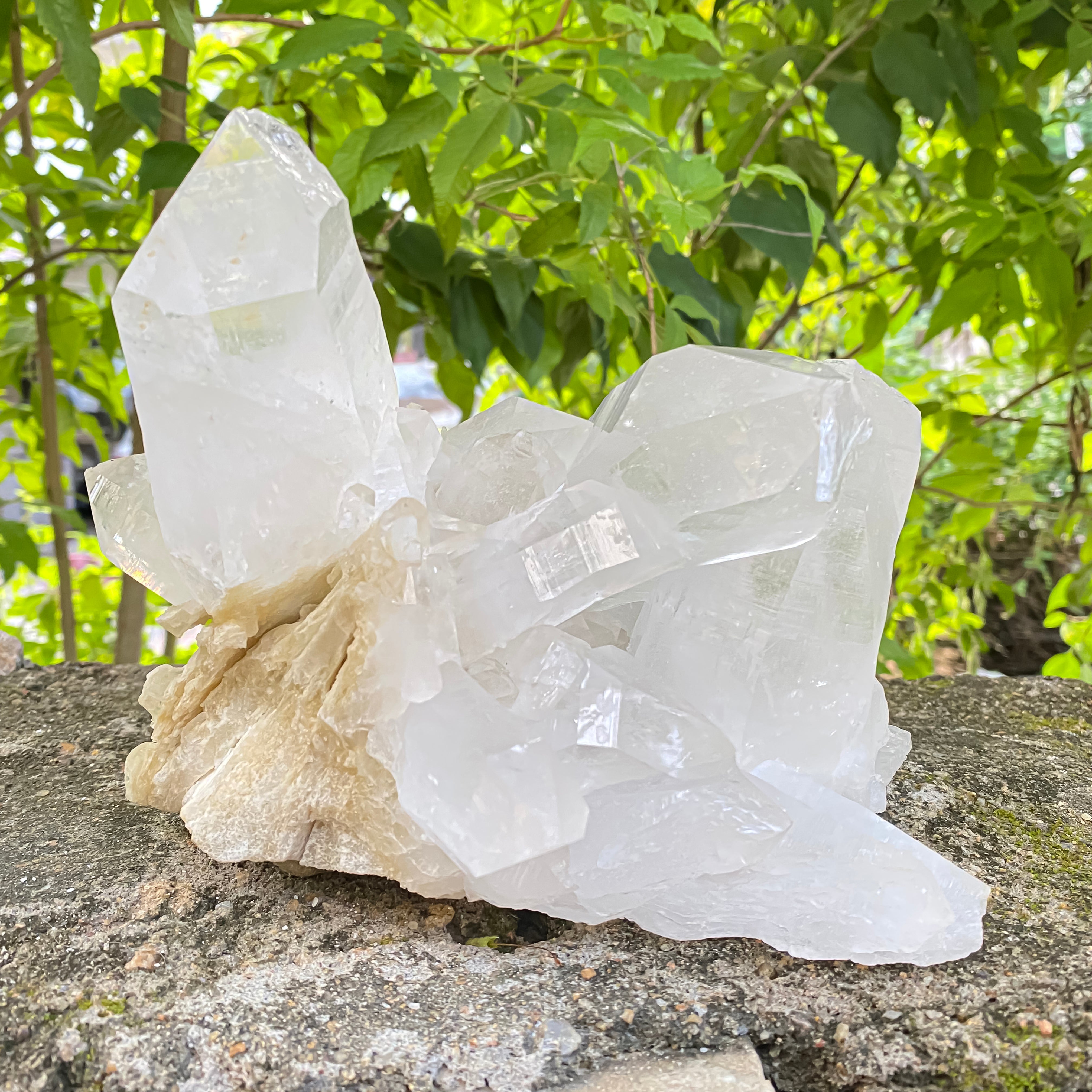 Natural Himalayan White Quartz Cluster 2770g Healing Crystal