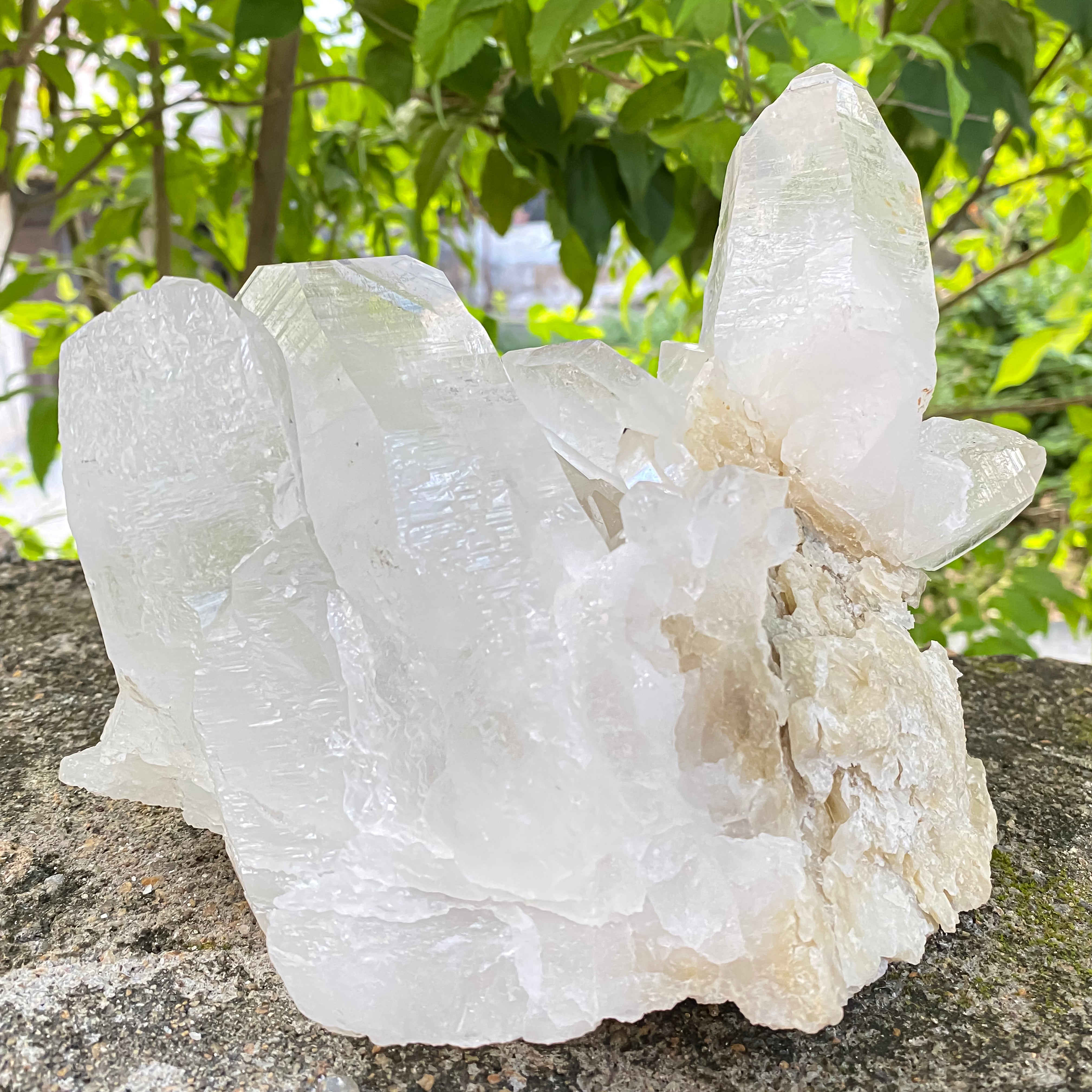 Natural Himalayan White Quartz Cluster 2770g Healing Crystal