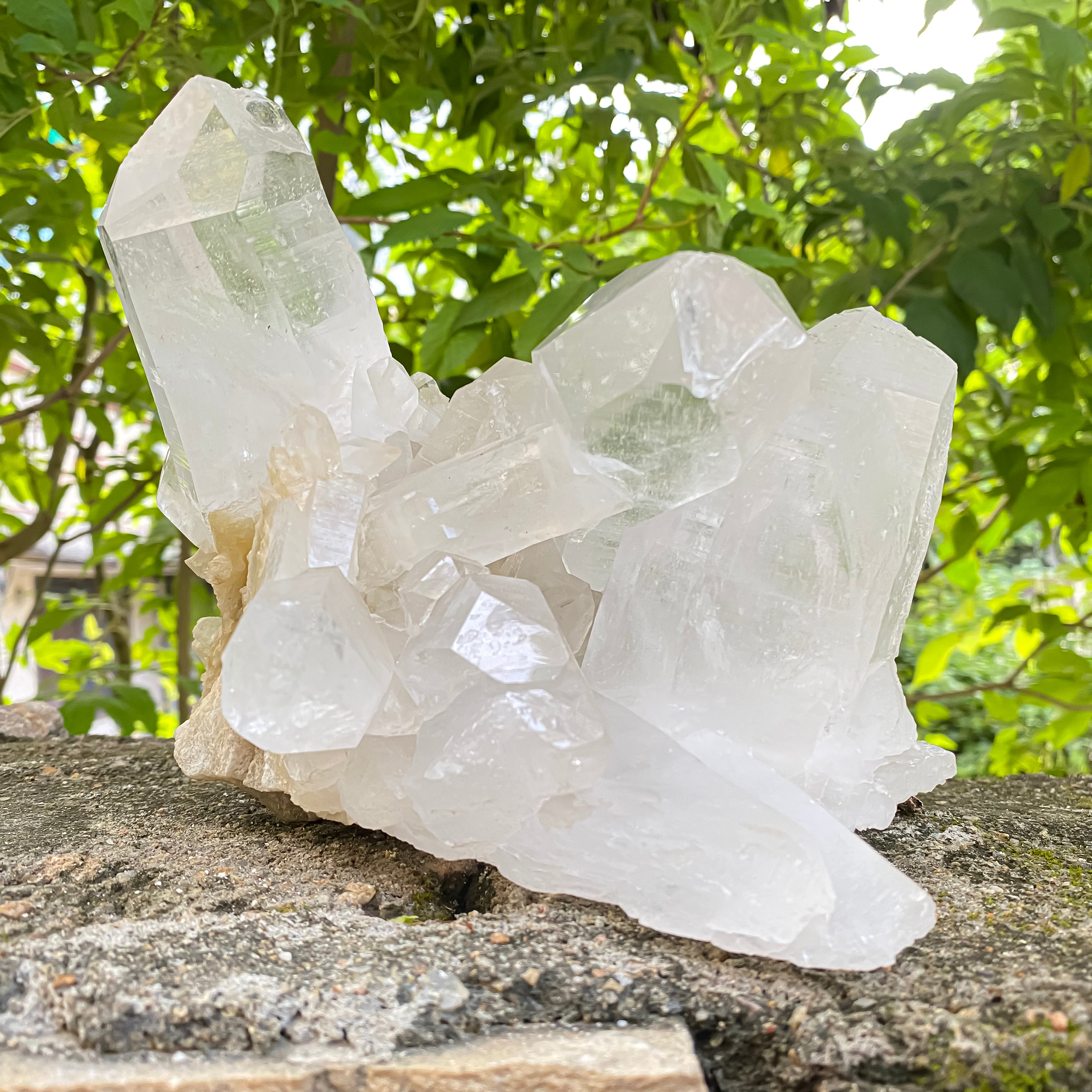 Natural Himalayan White Quartz Cluster 2770g Healing Crystal
