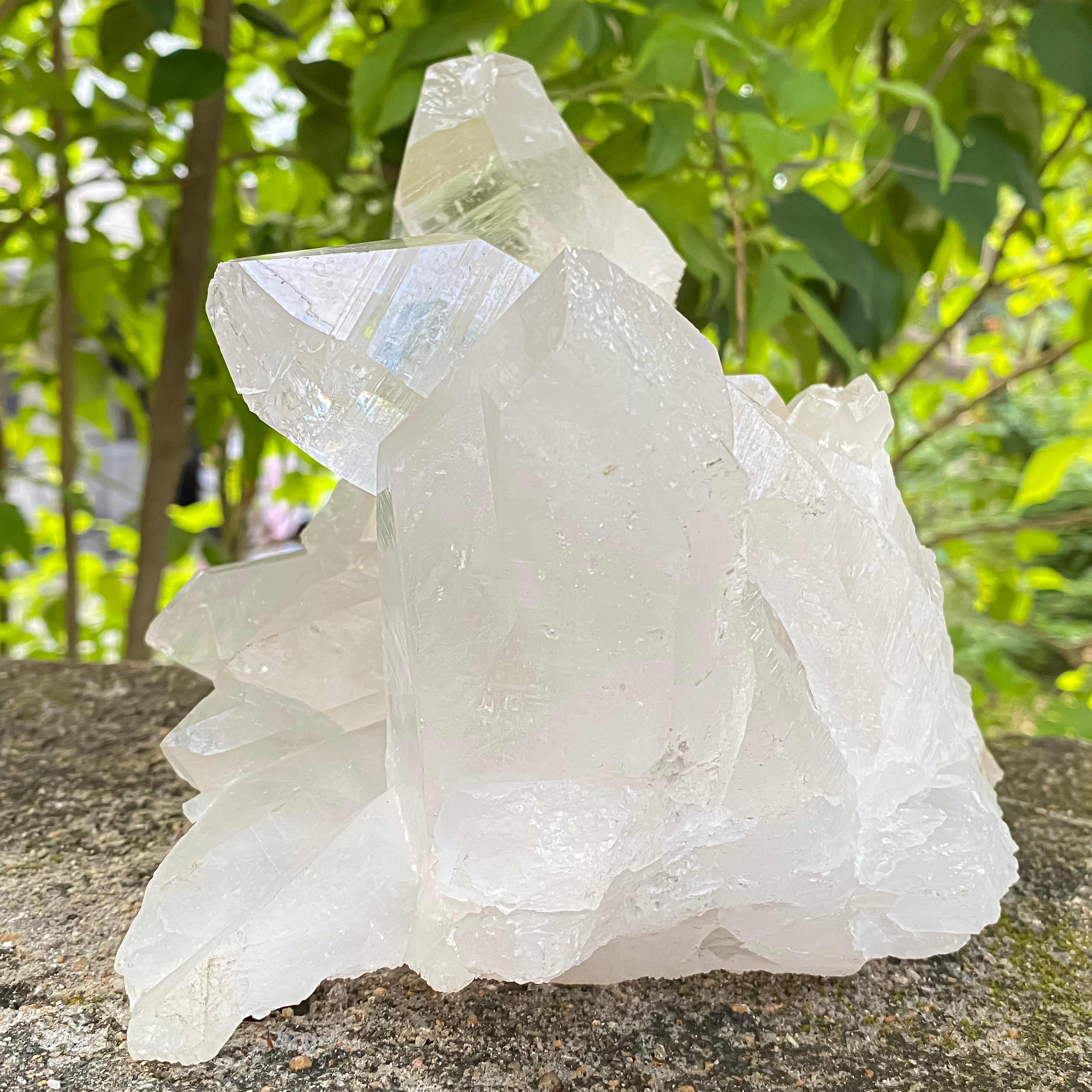 Natural Himalayan White Quartz Cluster 2770g Healing Crystal