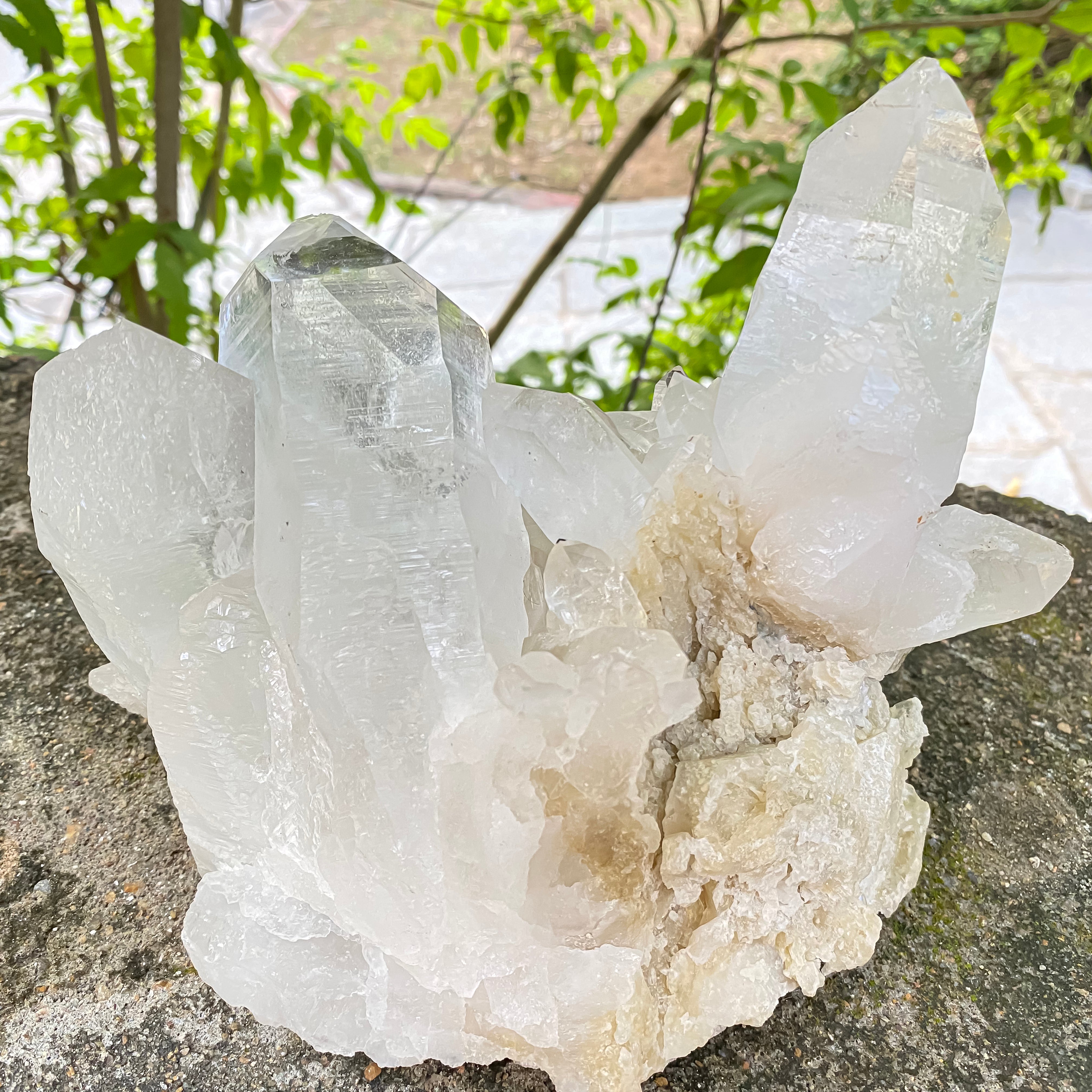 Natural Himalayan White Quartz Cluster 2770g Healing Crystal