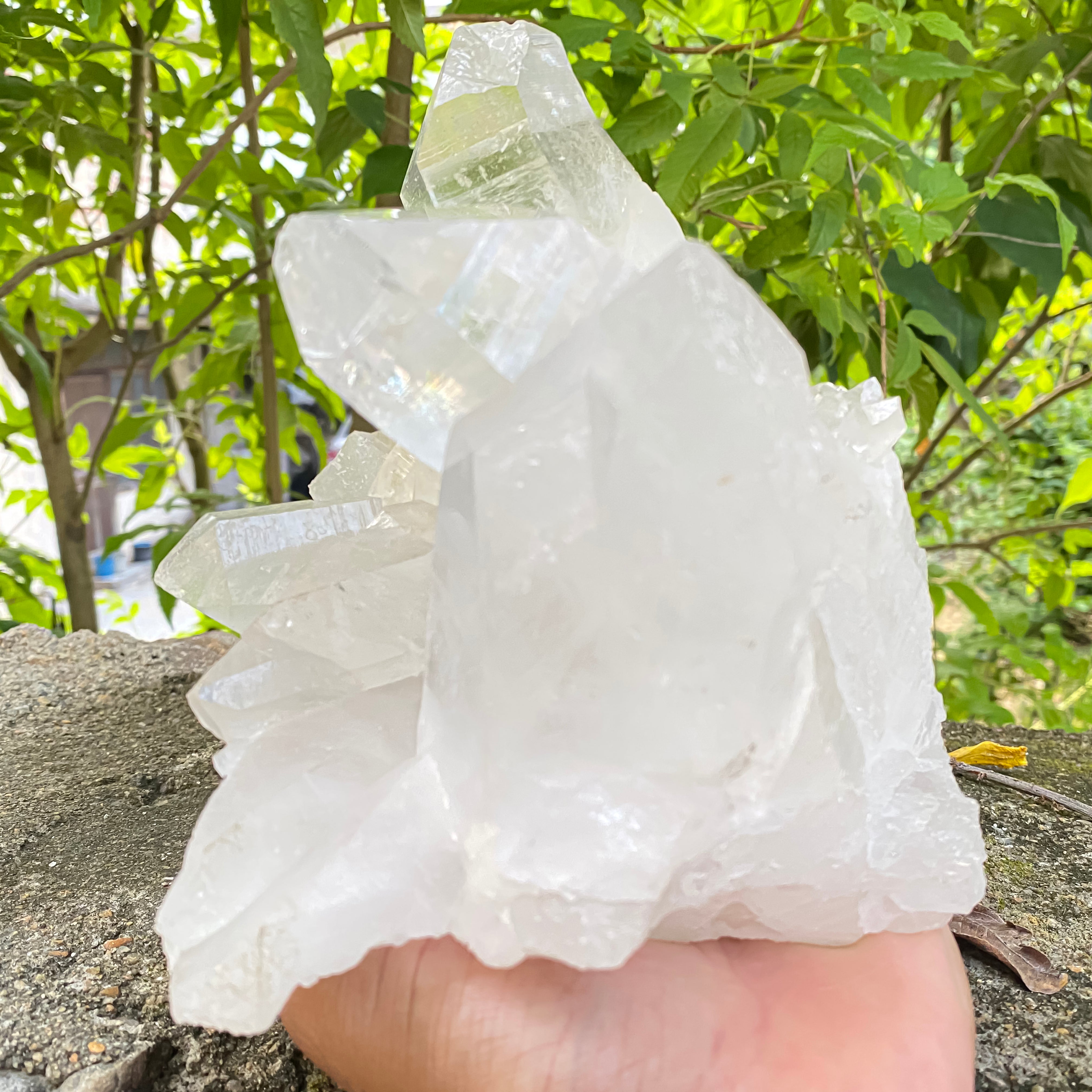 Natural Himalayan White Quartz Cluster 2770g Healing Crystal
