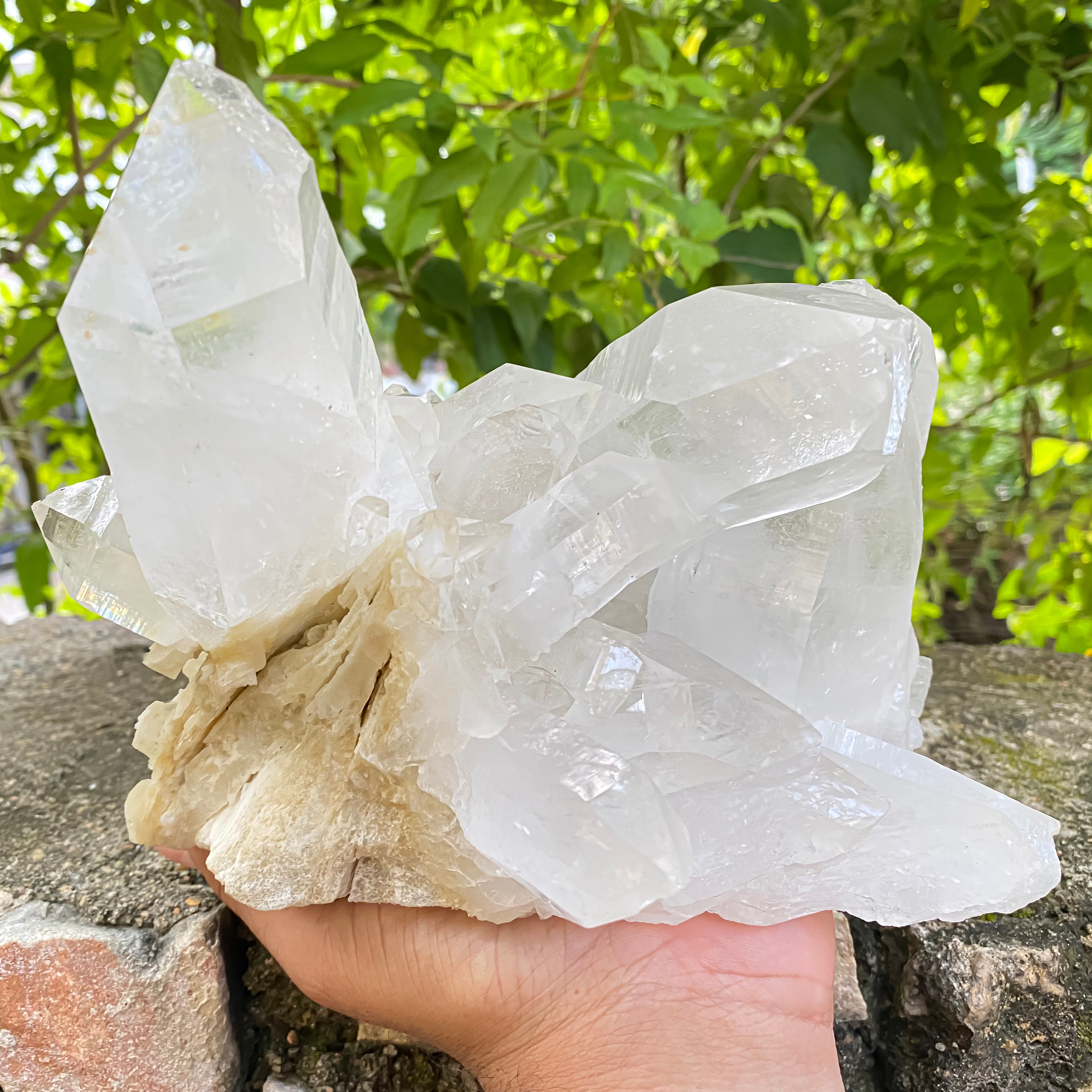 Natural Himalayan White Quartz Cluster 2770g Healing Crystal