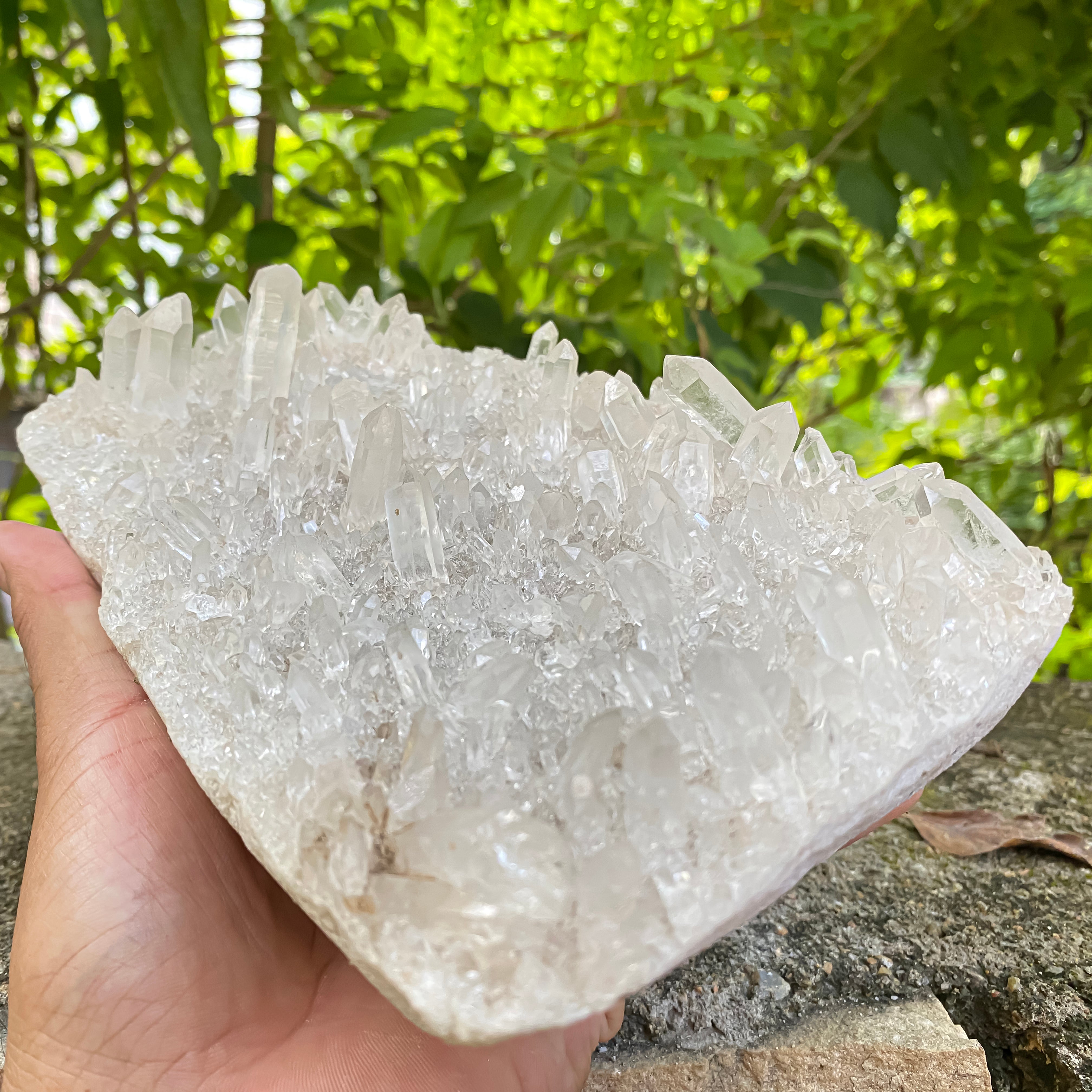 Natural Himalayan White Quartz Cluster 1750g Healing Crystal