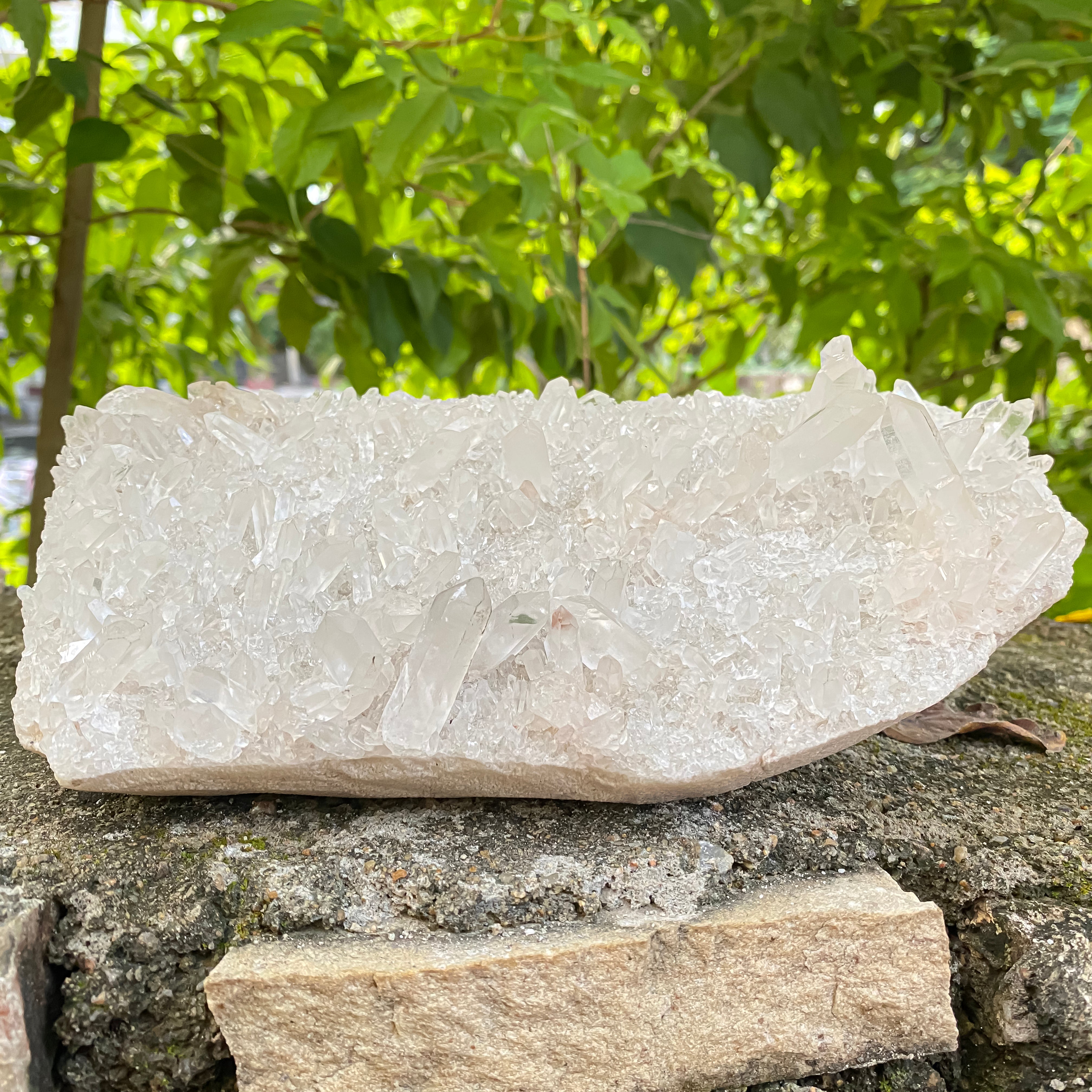 Natural Himalayan White Quartz Cluster 1750g Healing Crystal