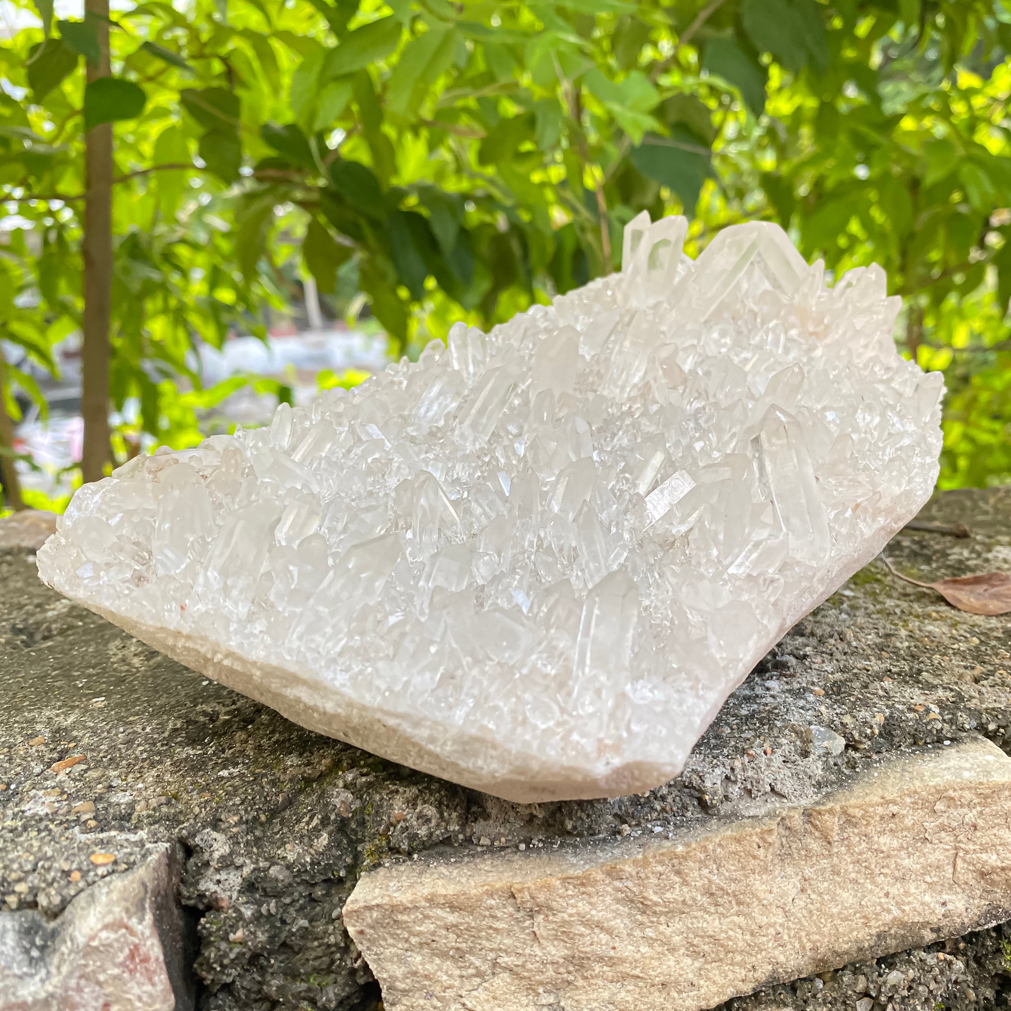 Natural Himalayan White Quartz Cluster 1750g Healing Crystal