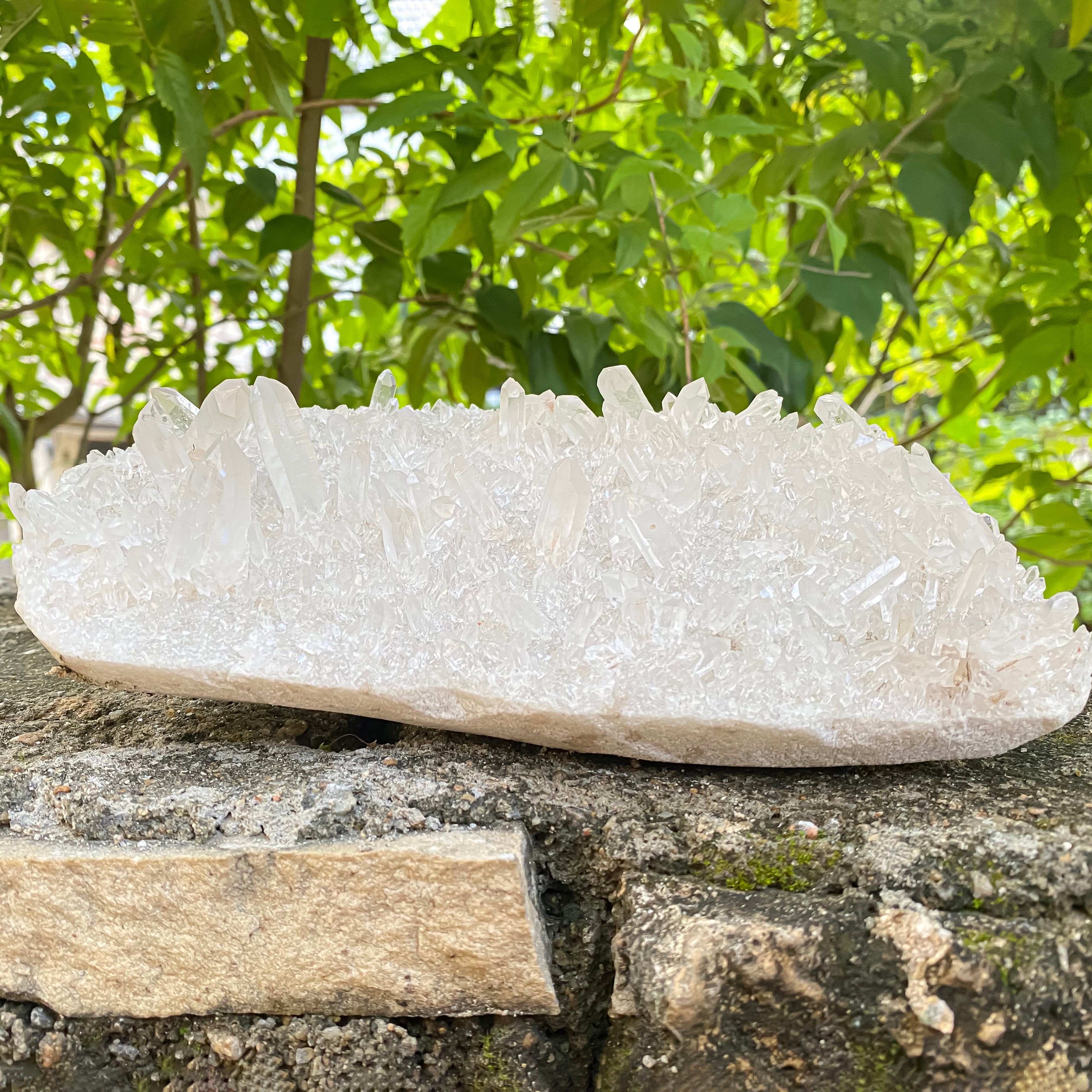 Natural Himalayan White Quartz Cluster 1750g Healing Crystal