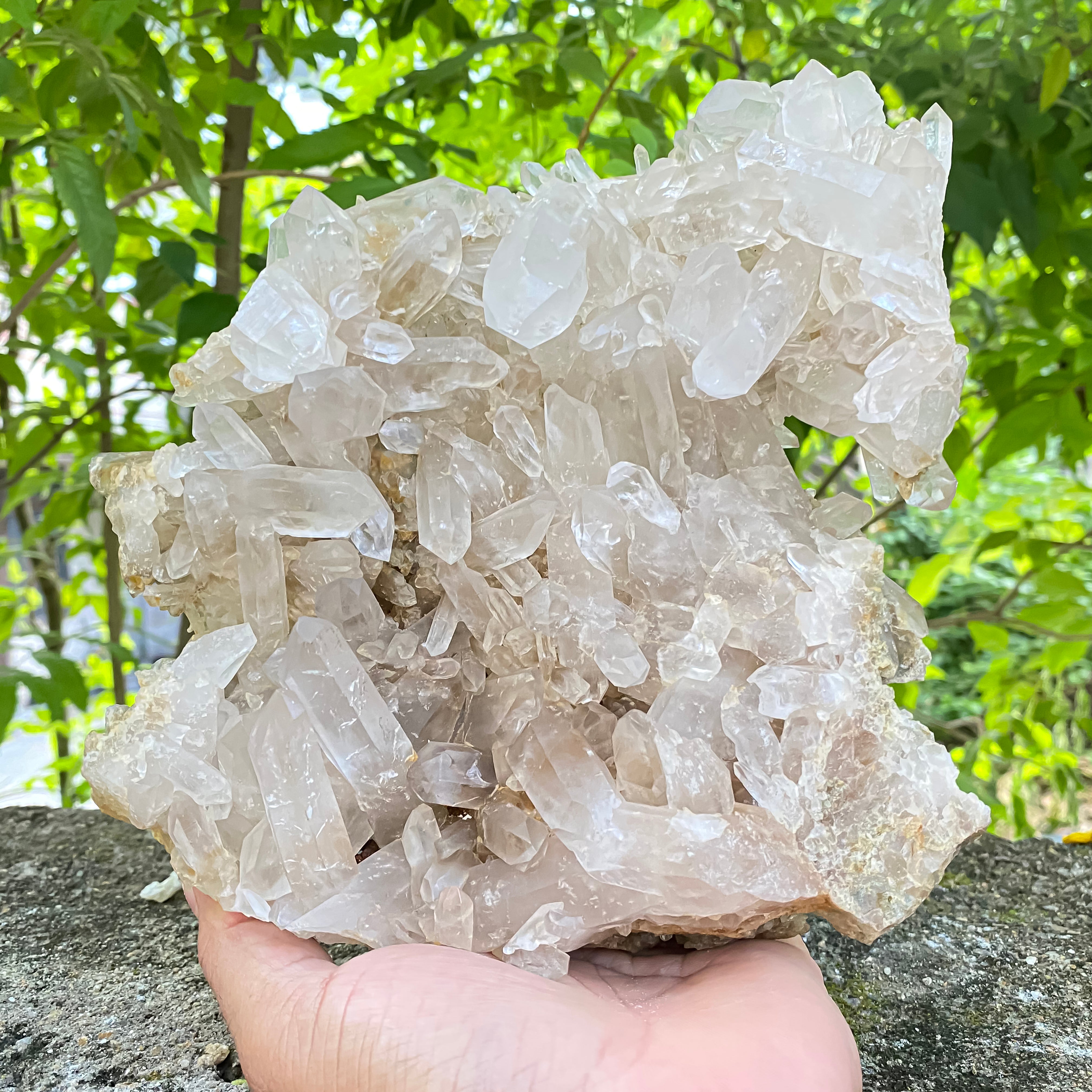 Natural Himalayan White Phantom Quartz Crystal 1300g Healing Cluster