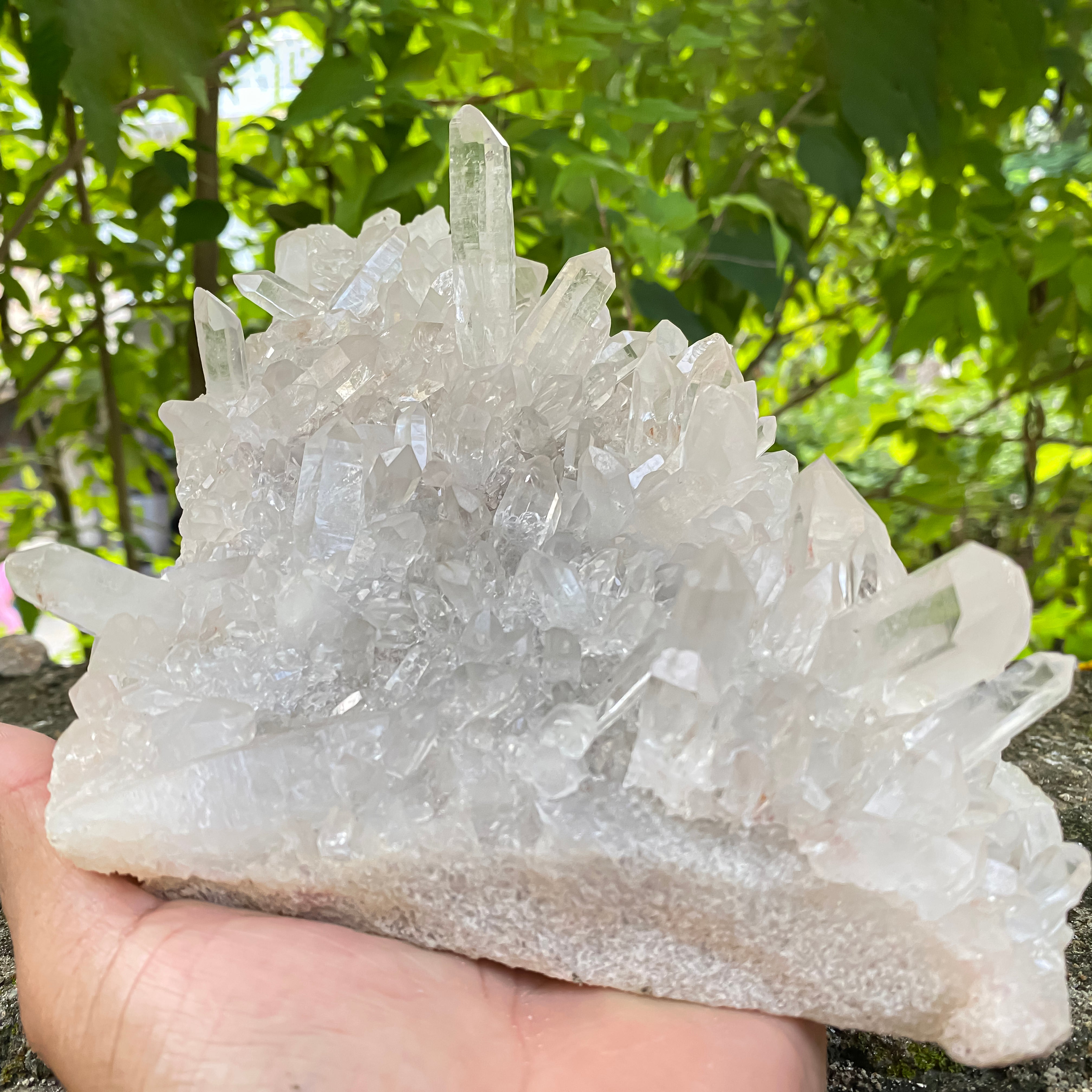 Natural Himalayan White Quartz Cluster 1550g Healing Crystal