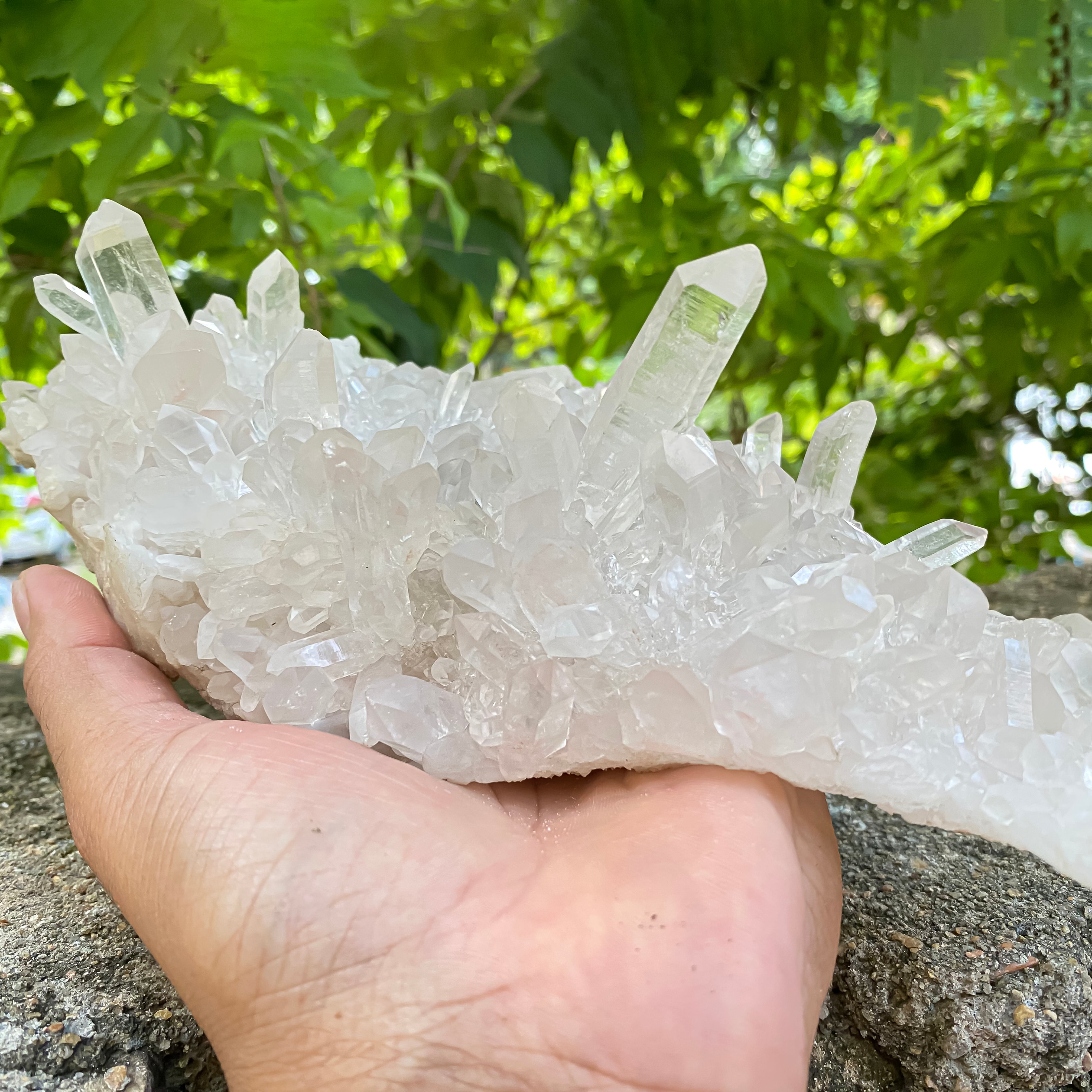 Natural Himalayan White Quartz Cluster 1550g Healing Crystal
