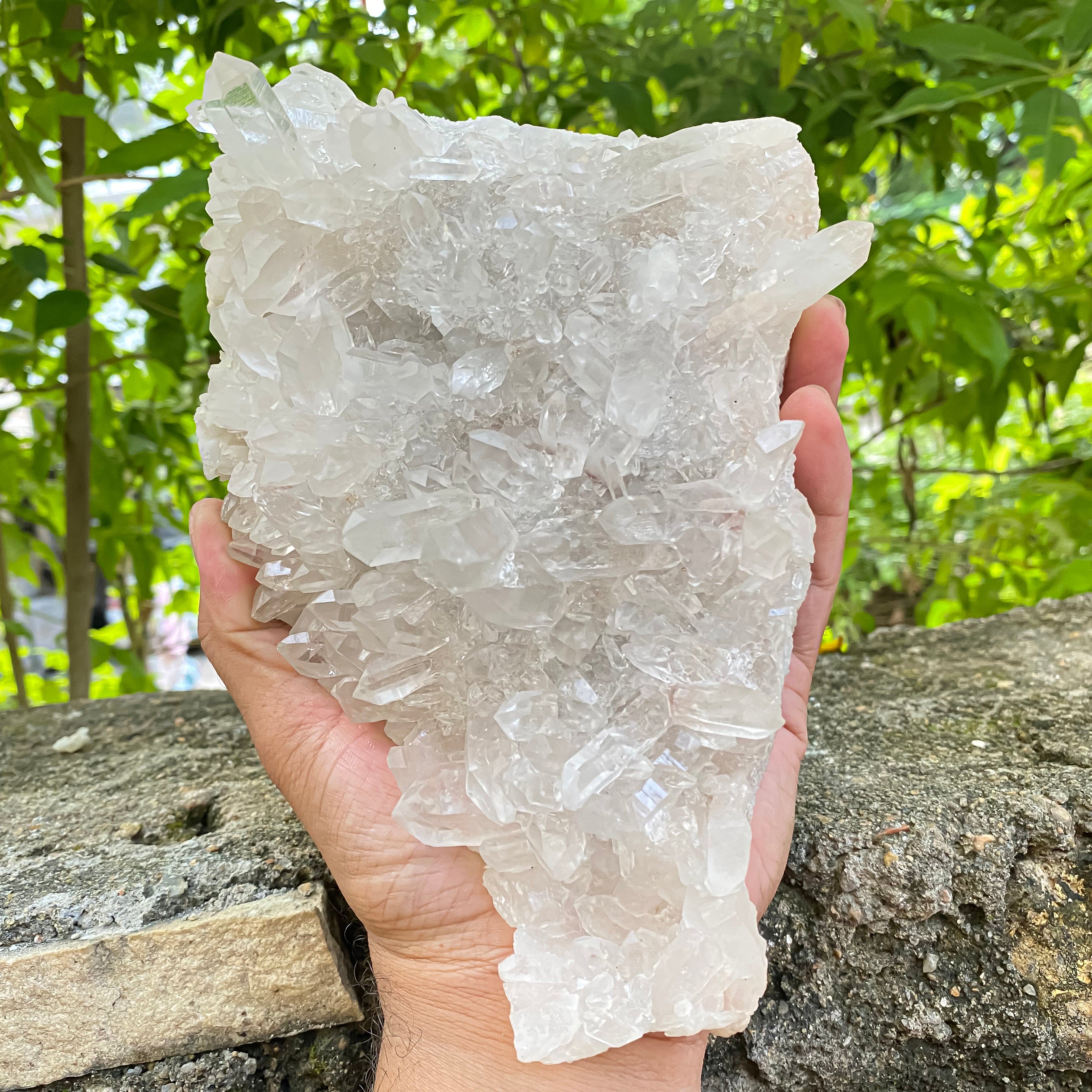 Natural Himalayan White Quartz Cluster 1550g Healing Crystal