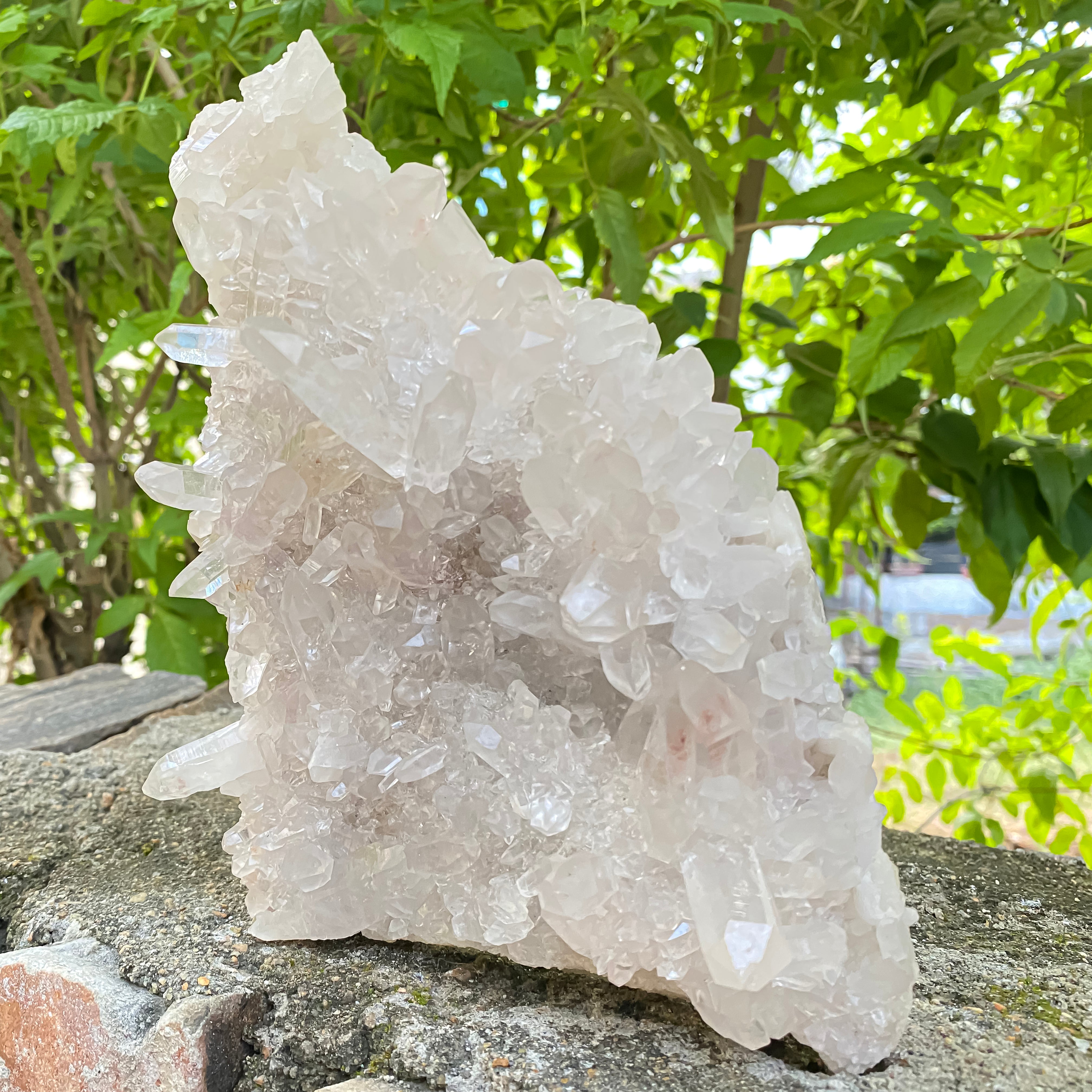 Natural Himalayan White Quartz Cluster 1550g Healing Crystal