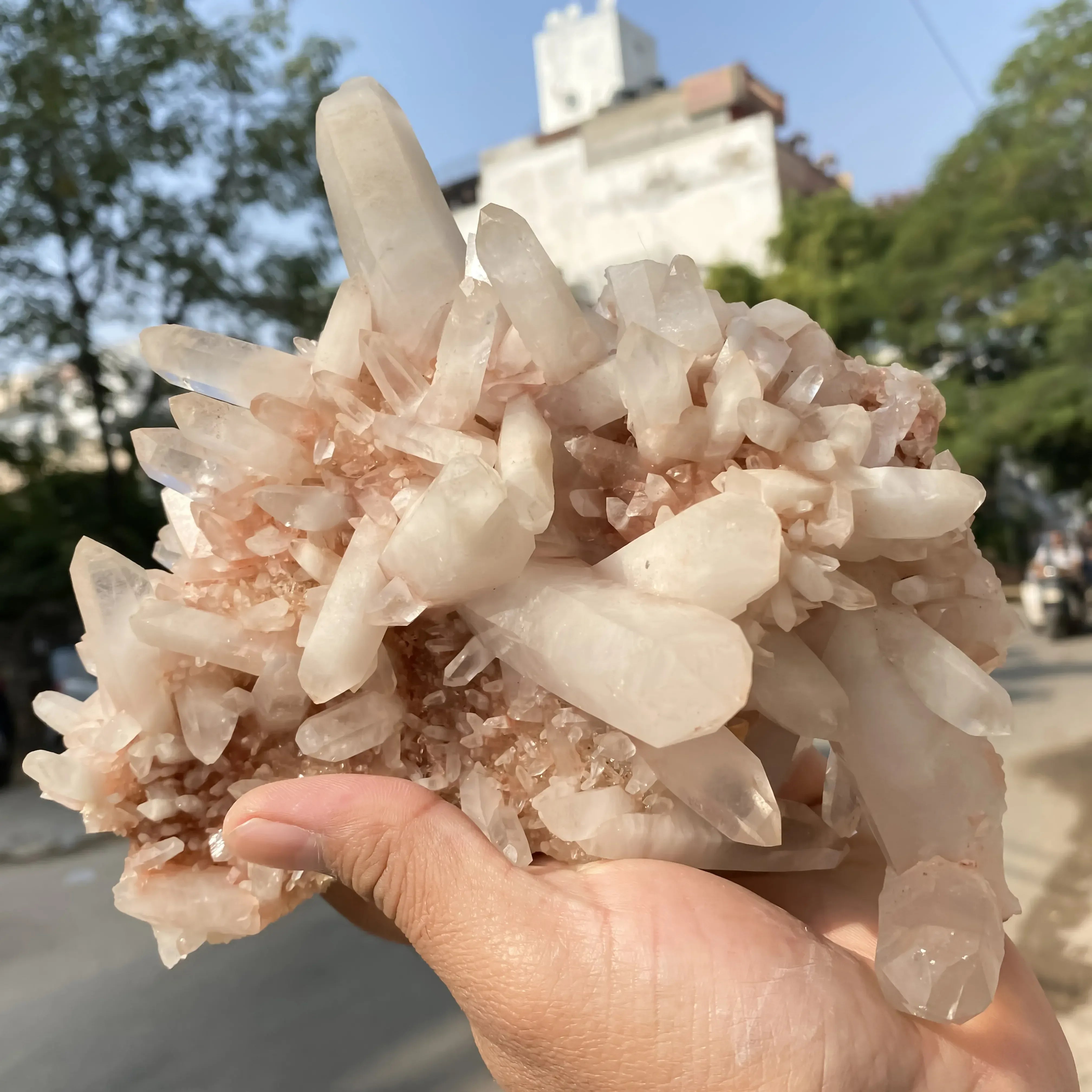 Natural Pink Quartz Cluster 1480g Himalayan Quartz