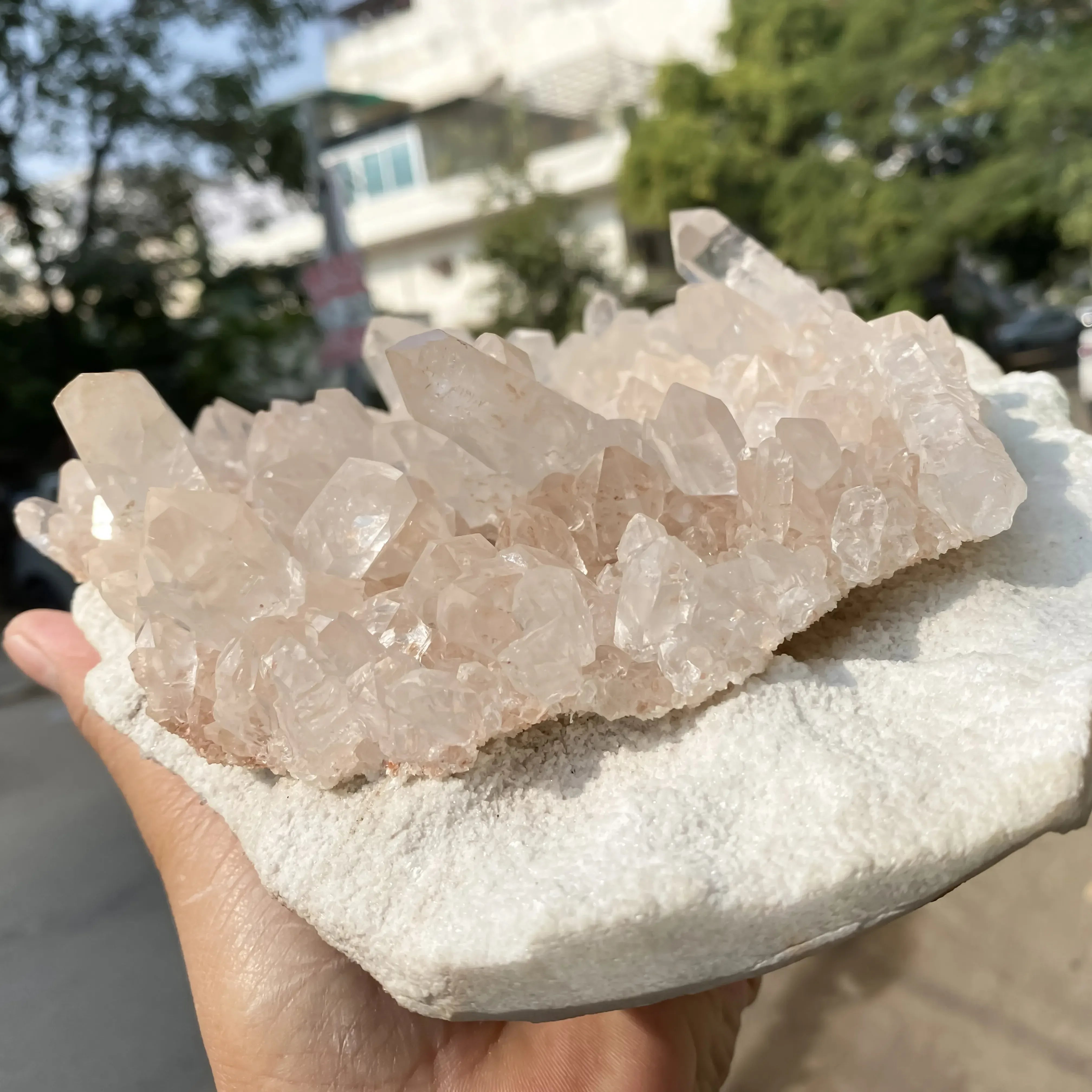 Natural Pink Quartz Cluster 3530g Himalayan Quartz