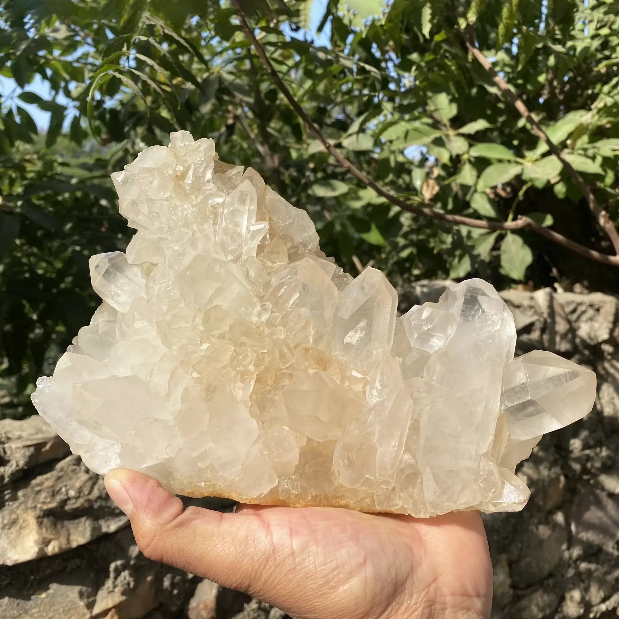 Natural White Quartz Cluster 2810g Himalayan Quartz
