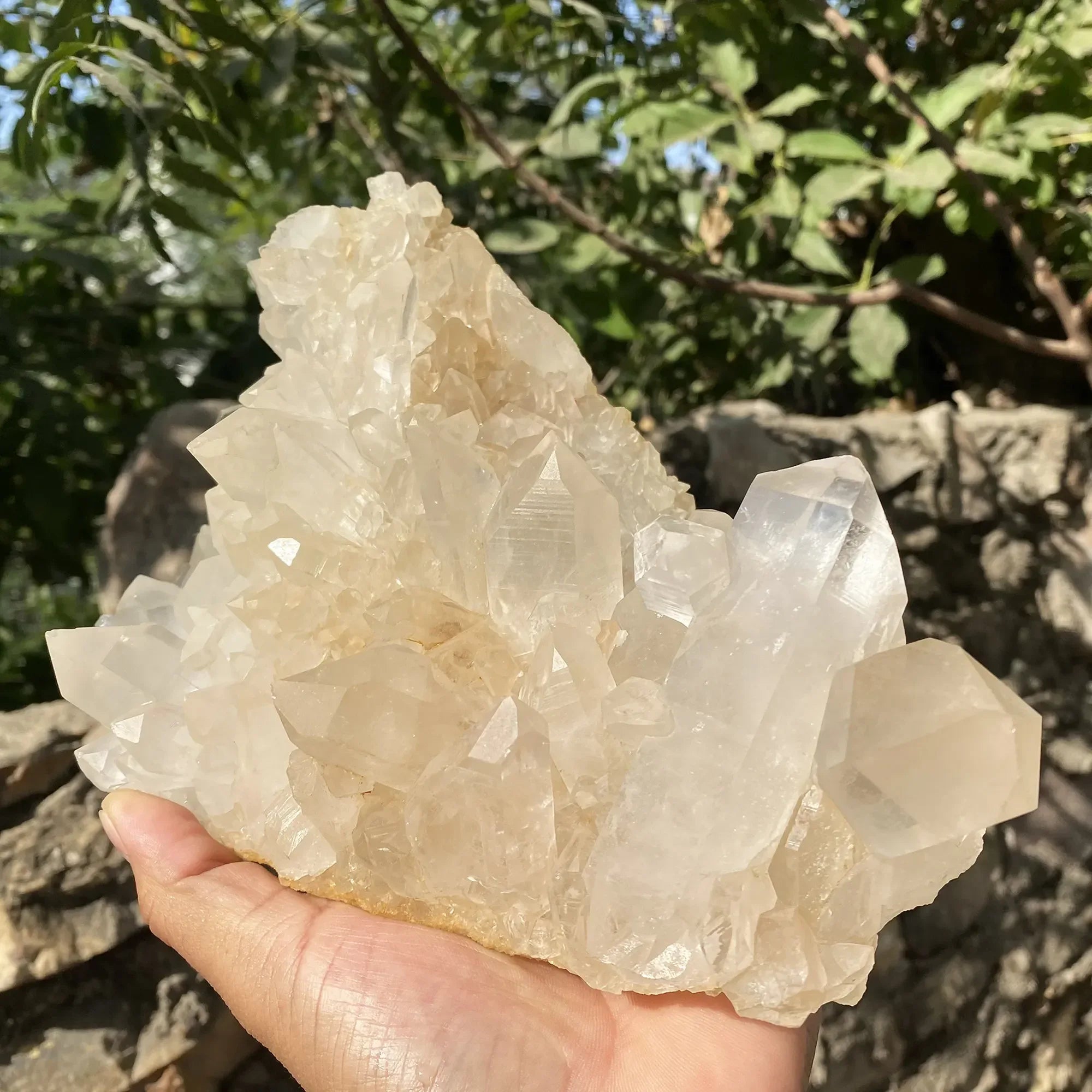 Natural White Quartz Cluster 2810g Himalayan Quartz