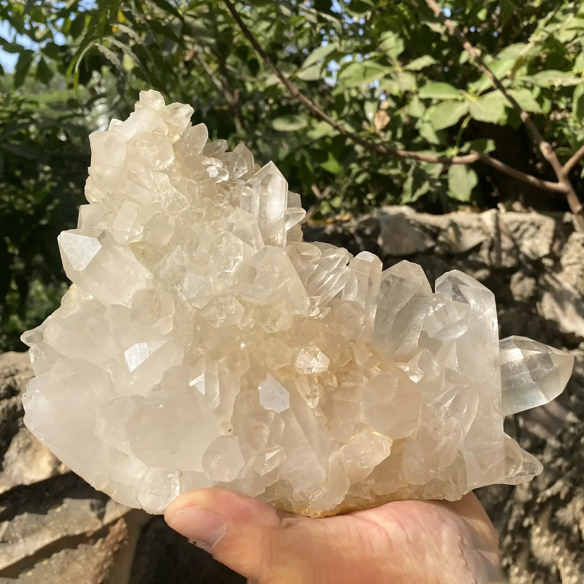 Natural White Quartz Cluster 2810g Himalayan Quartz