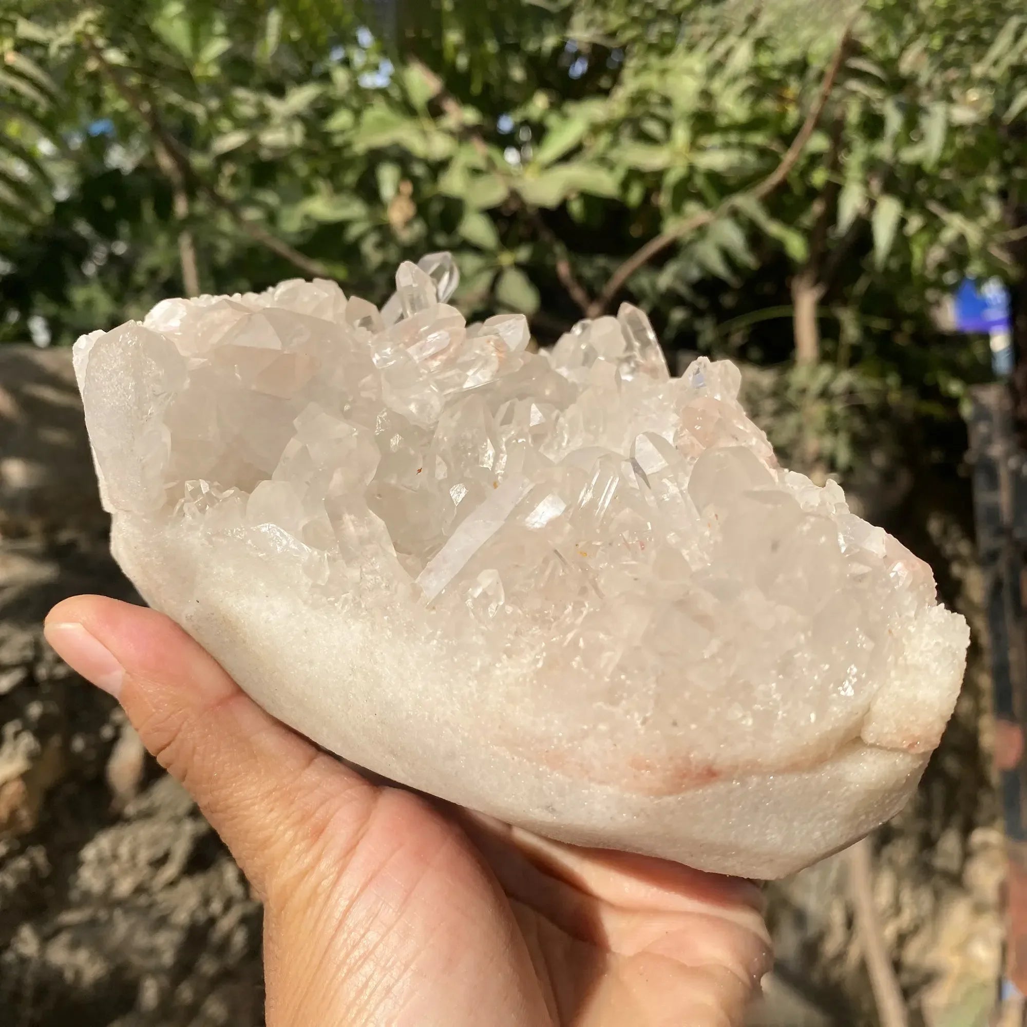 Natural Pink Quartz Cluster 1680g Himalayan Quartz