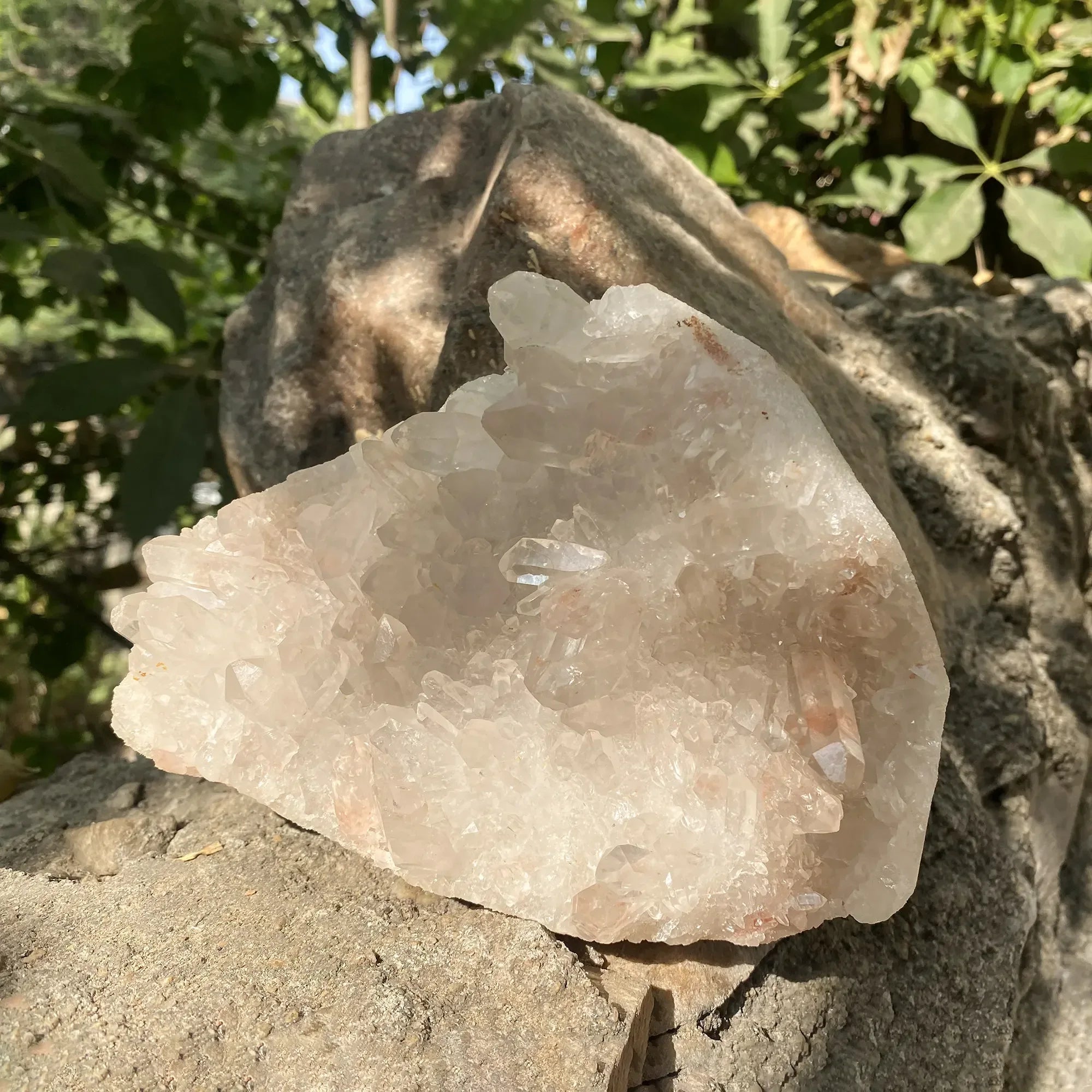 Natural Pink Quartz Cluster 1680g Himalayan Quartz