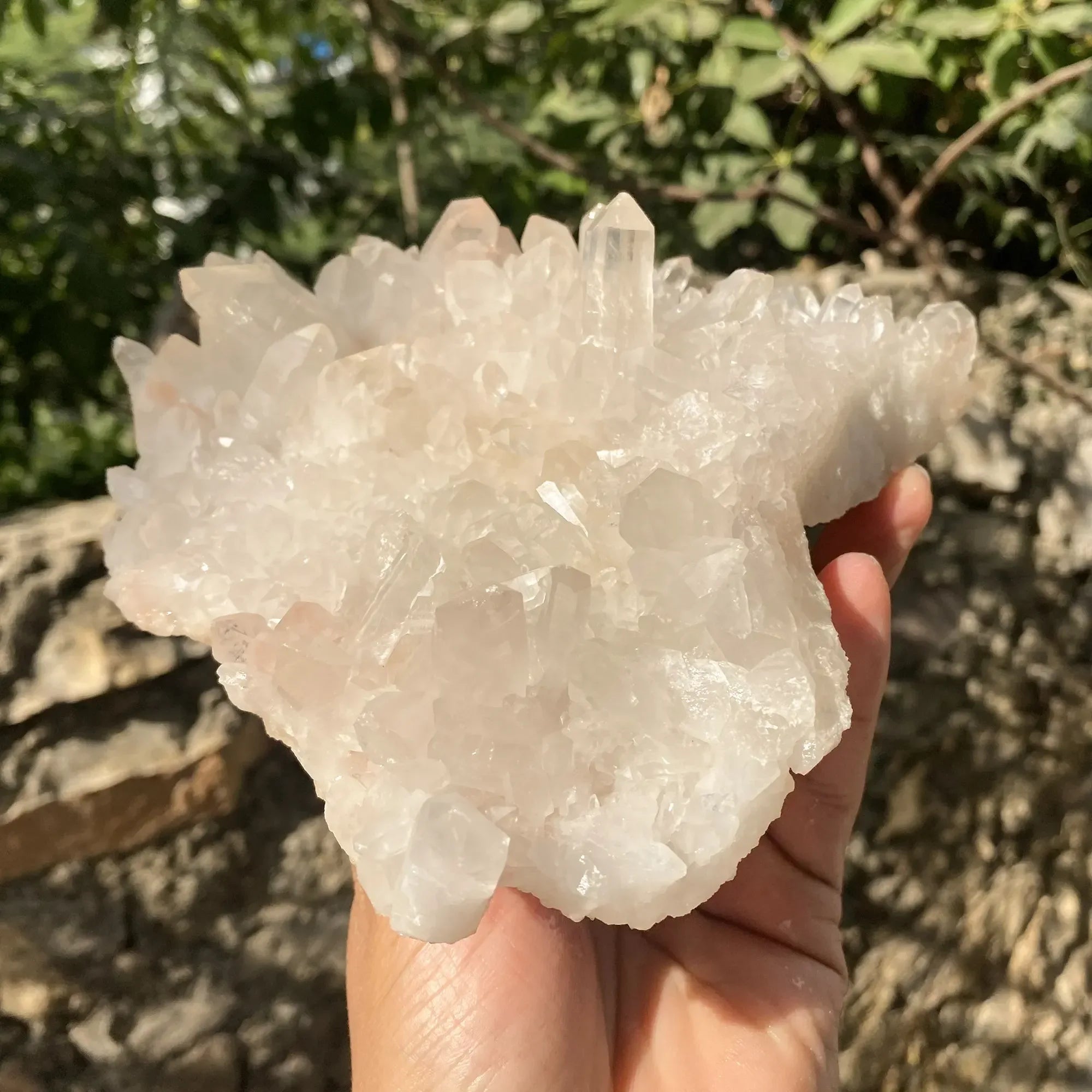 Natural Pink Quartz Cluster 1220g Himalayan Quartz