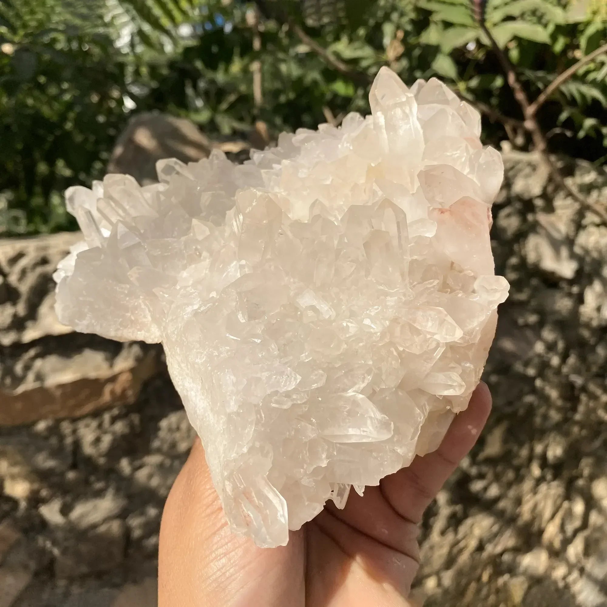 Natural Pink Quartz Cluster 1220g Himalayan Quartz