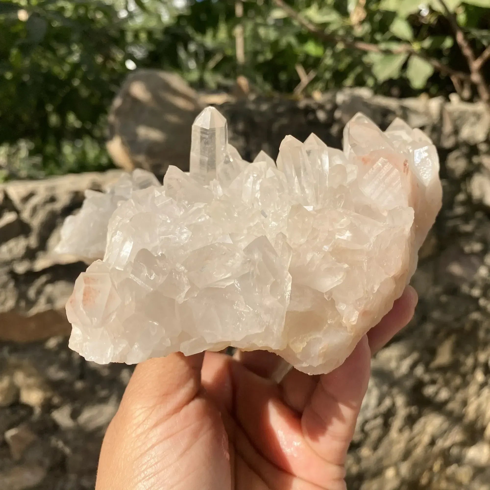 Natural Pink Quartz Cluster 1220g Himalayan Quartz