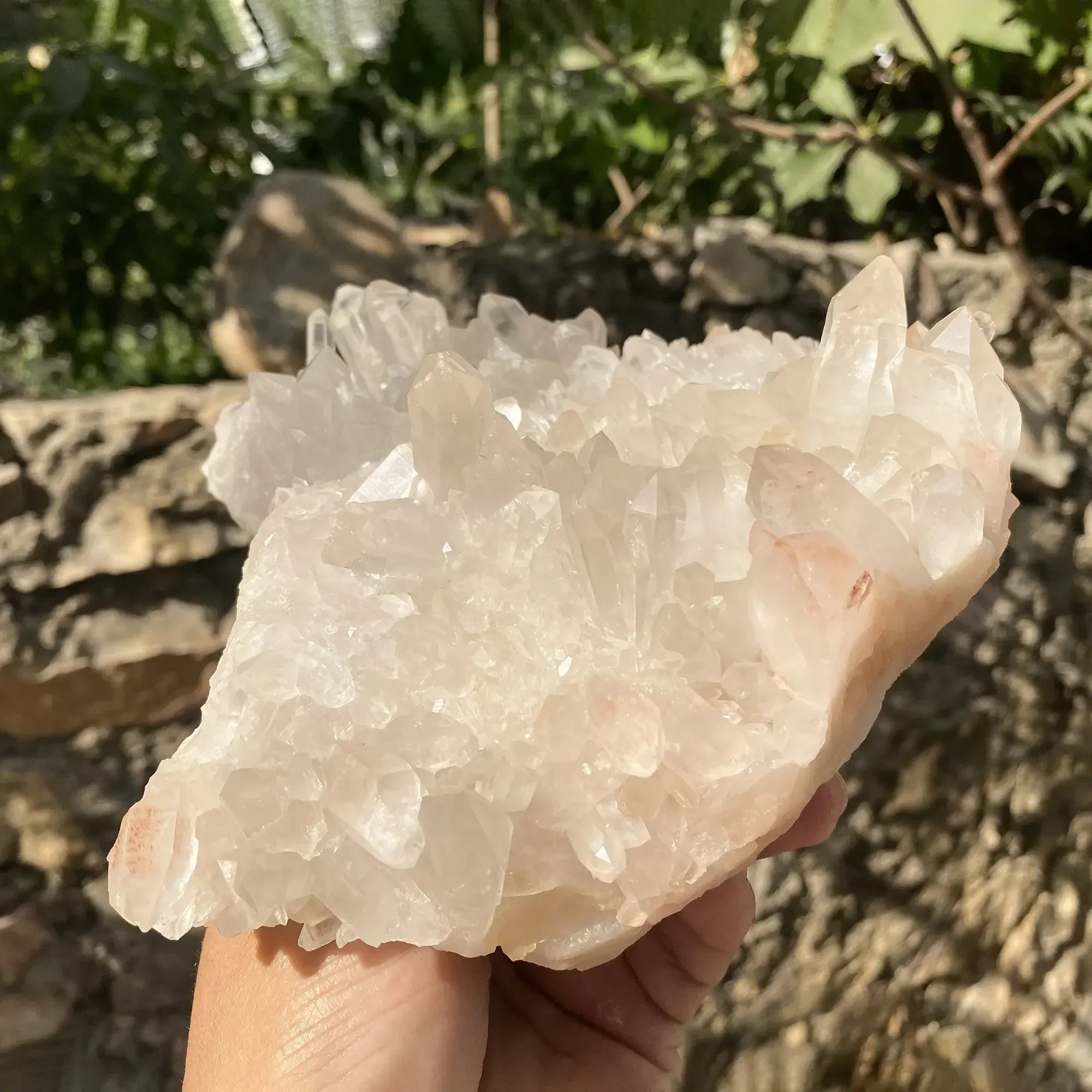 Natural Pink Quartz Cluster 1220g Himalayan Quartz