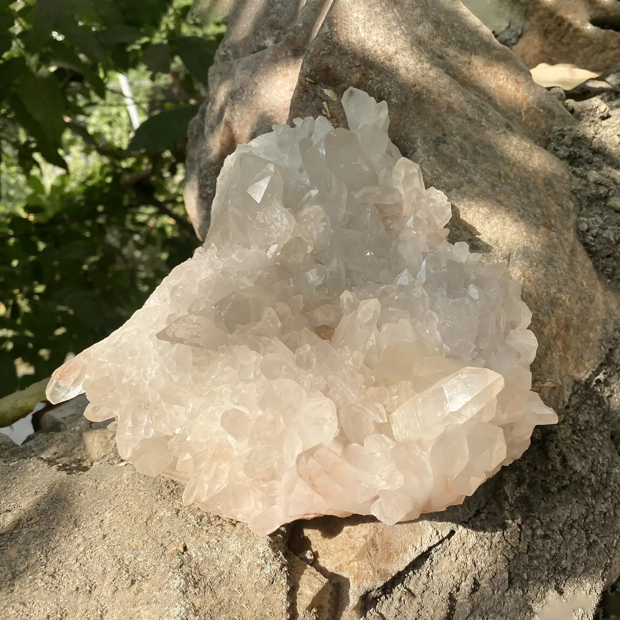 Natural Pink Quartz Cluster 1220g Himalayan Quartz