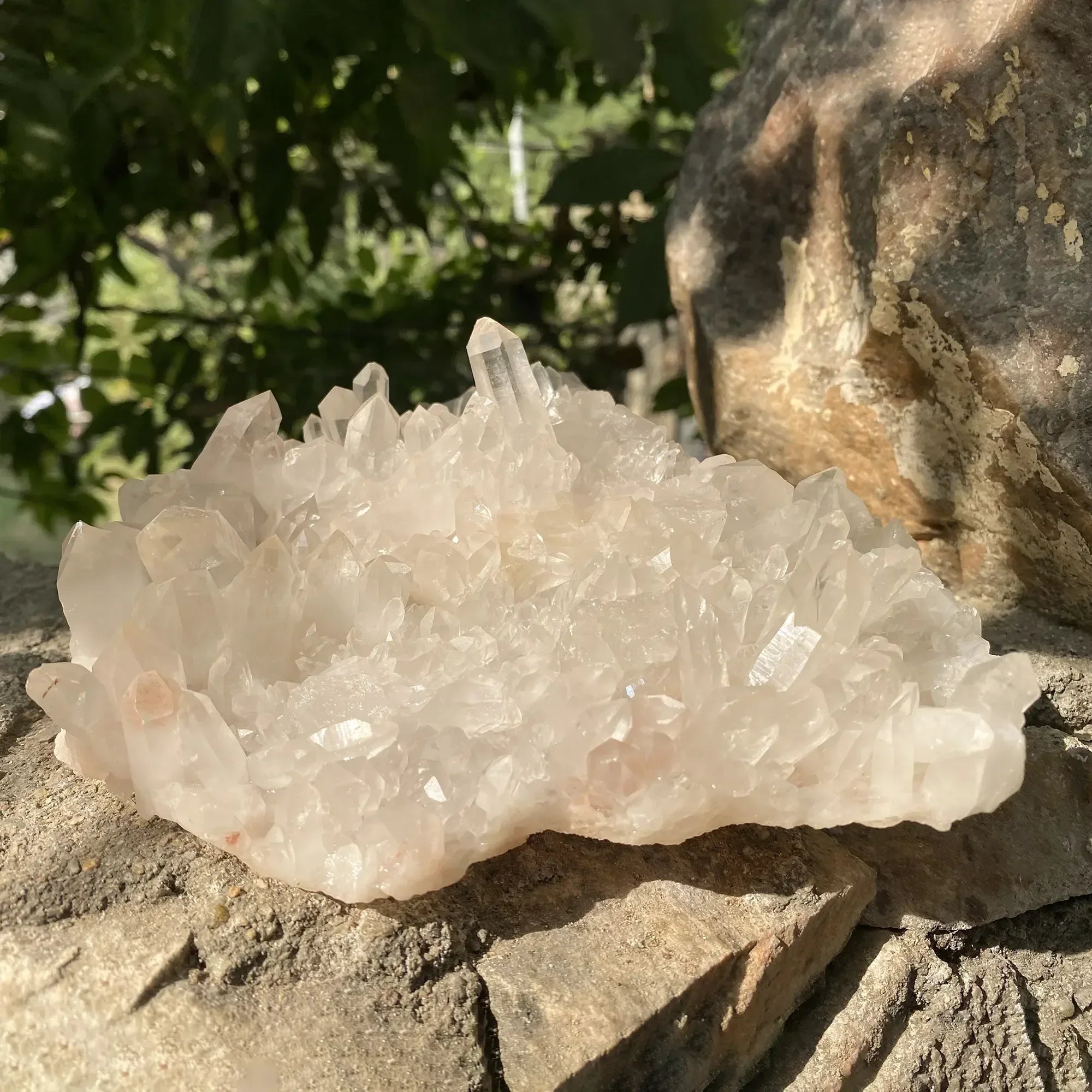 Natural Pink Quartz Cluster 1220g Himalayan Quartz