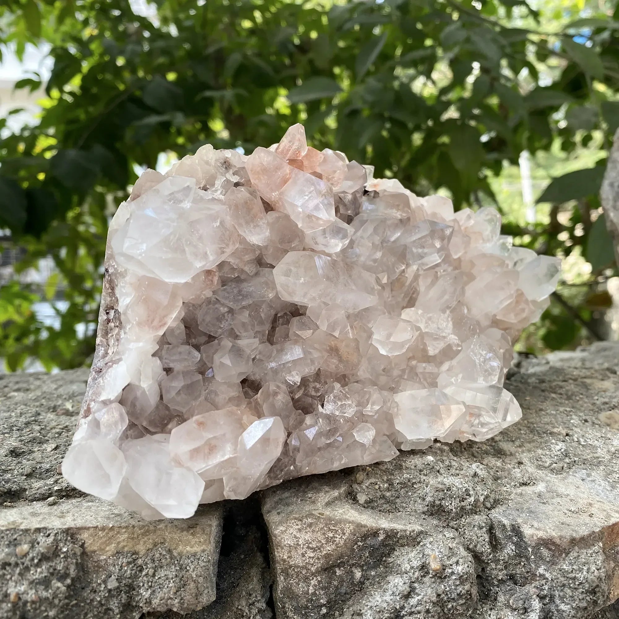 Natural Pink Quartz Skull Cluster 1590g Himalayan Quartz