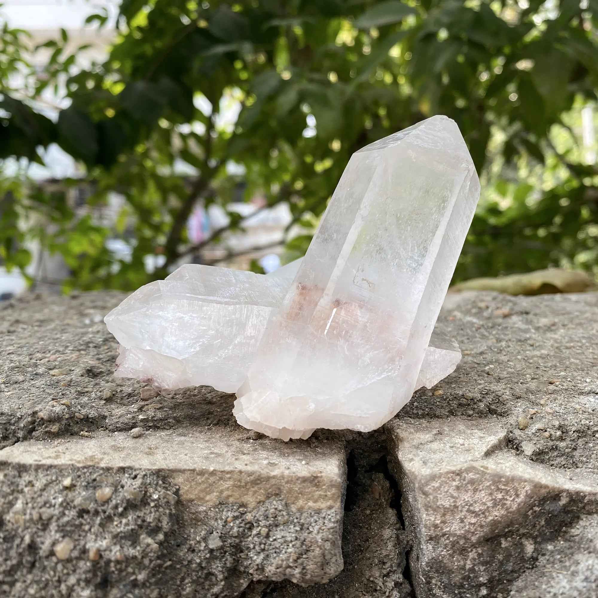 White Quartz Crystal Cluster 350g Natural Himalayan Raw Healing Stone Mineral Specimen Display Décor