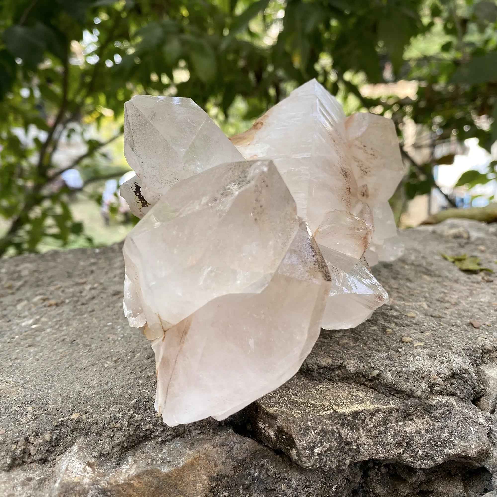 Pink Himalayan Samadhi Quartz Raw Crystal Cluster Healing Display Collector