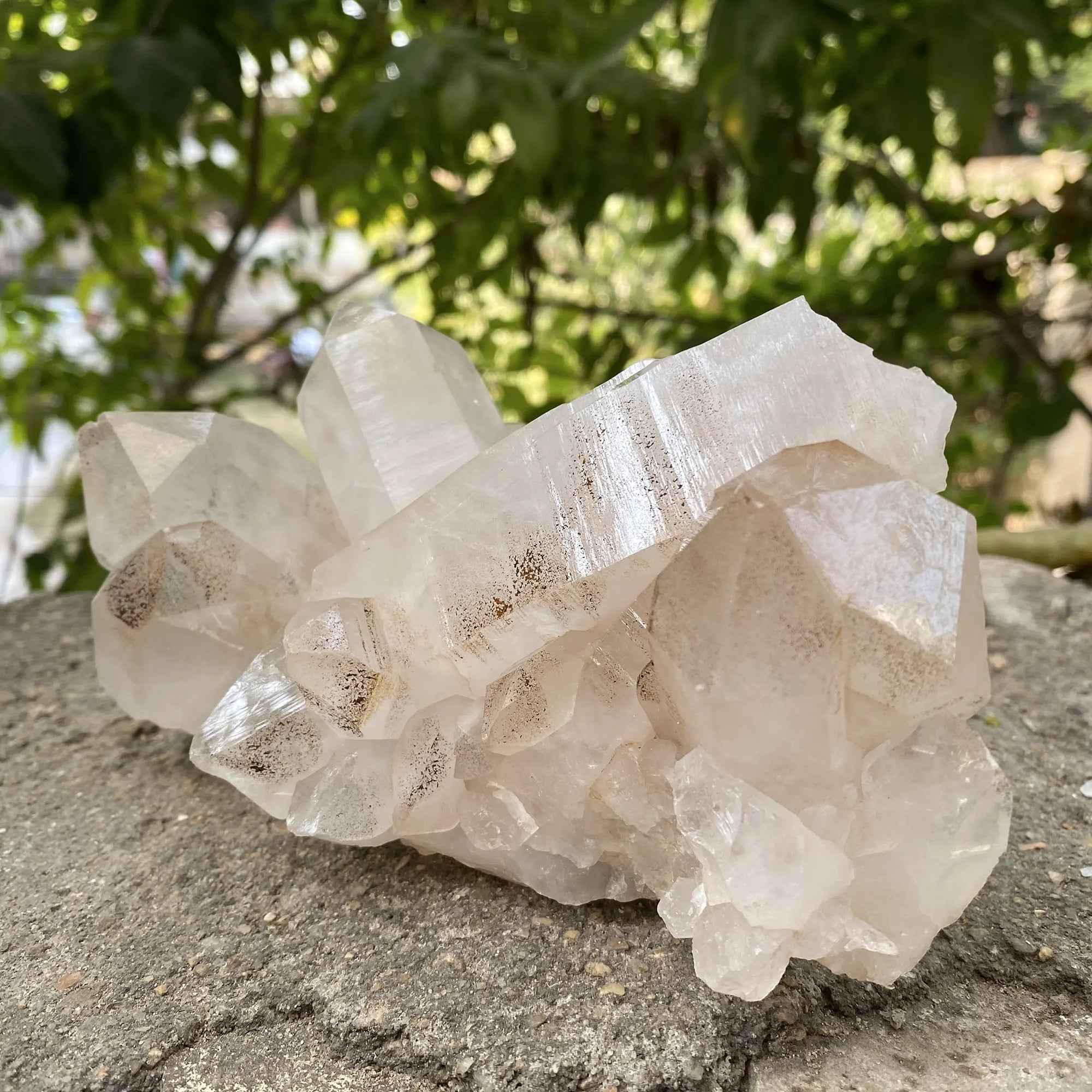 Pink Himalayan Samadhi Quartz Raw Crystal Cluster Healing Display Collector
