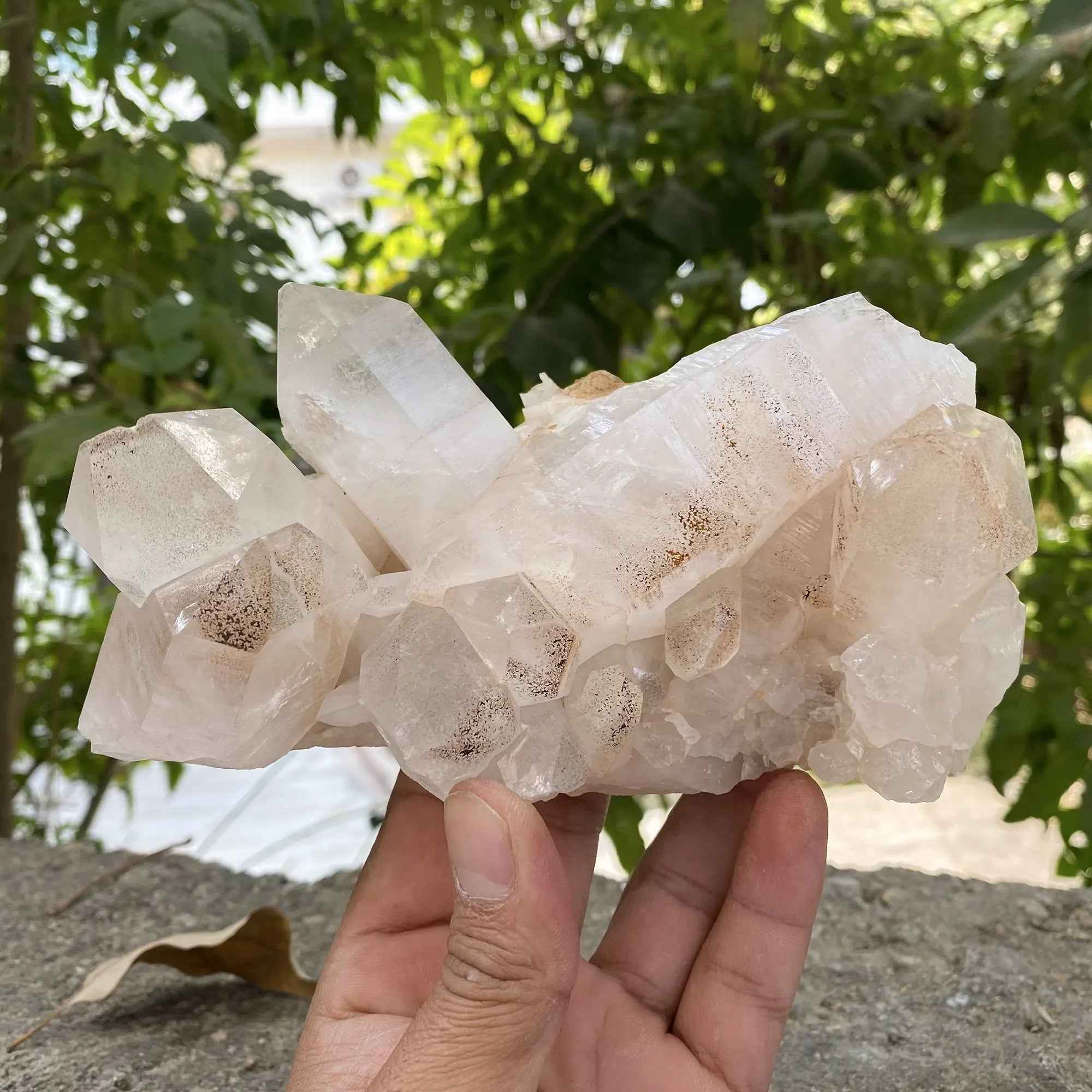 Pink Himalayan Samadhi Quartz Raw Crystal Cluster Healing Display Collector
