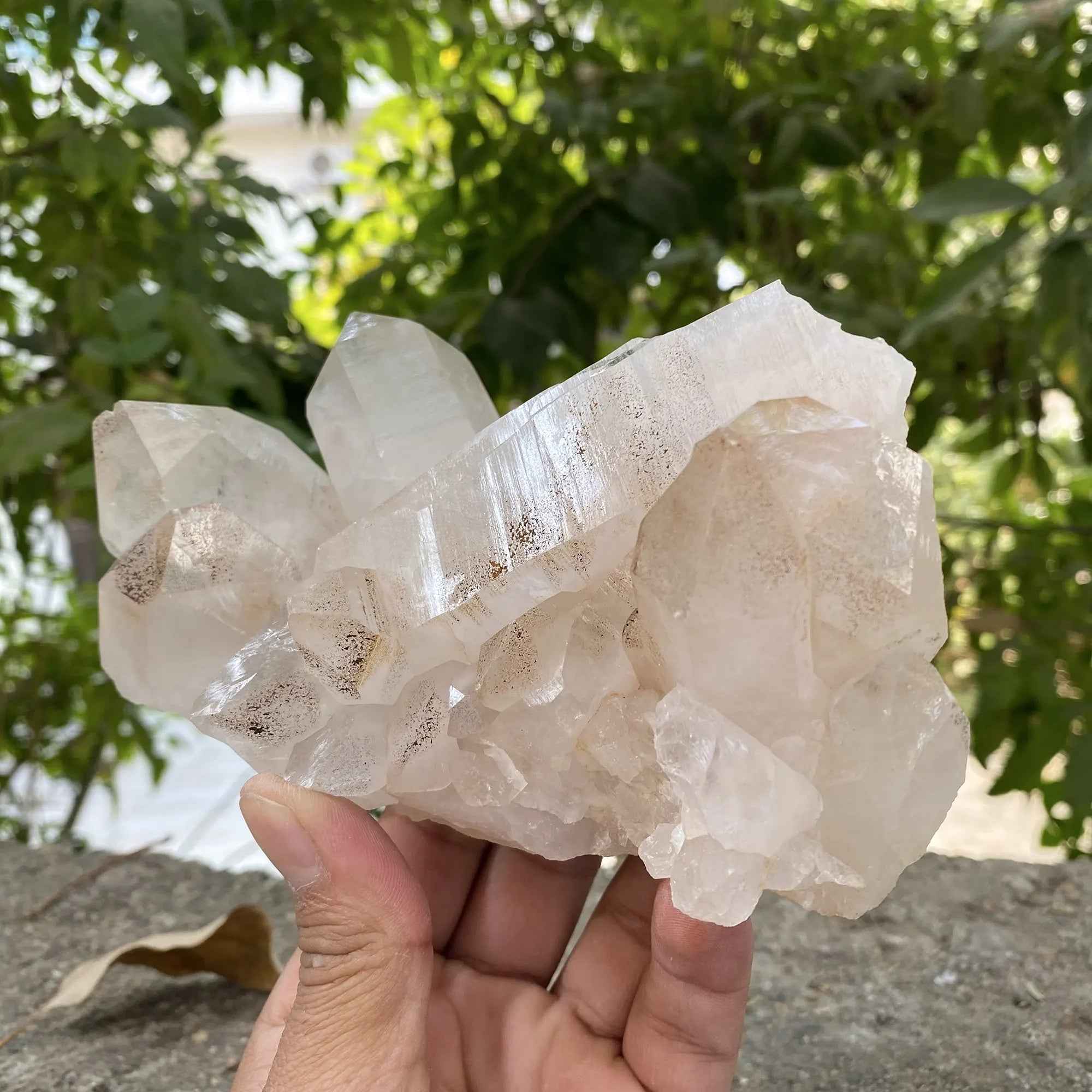 Pink Himalayan Samadhi Quartz Raw Crystal Cluster Healing Display Collector