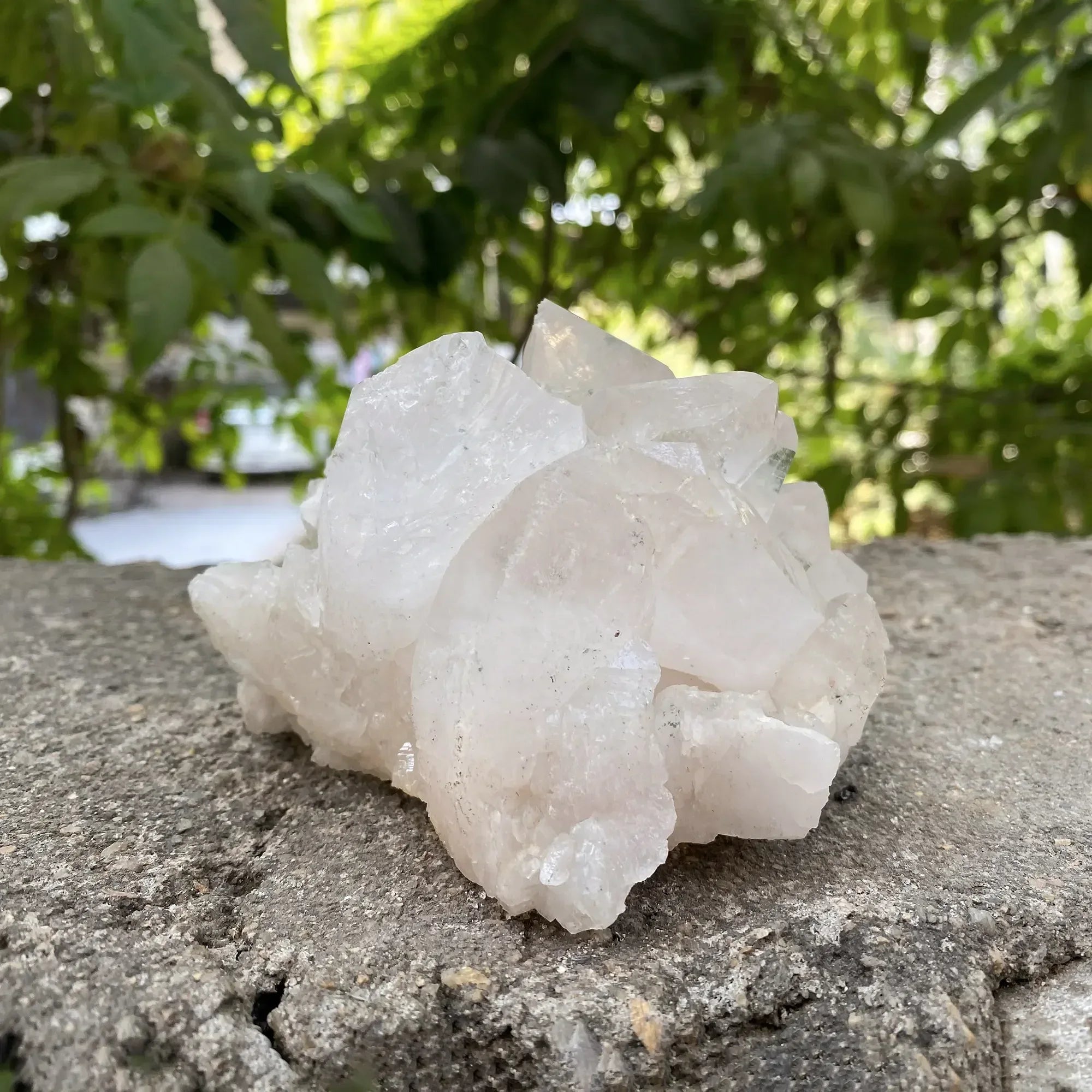 White Quartz with Phantom Cluster 795g Himalayan Quartz