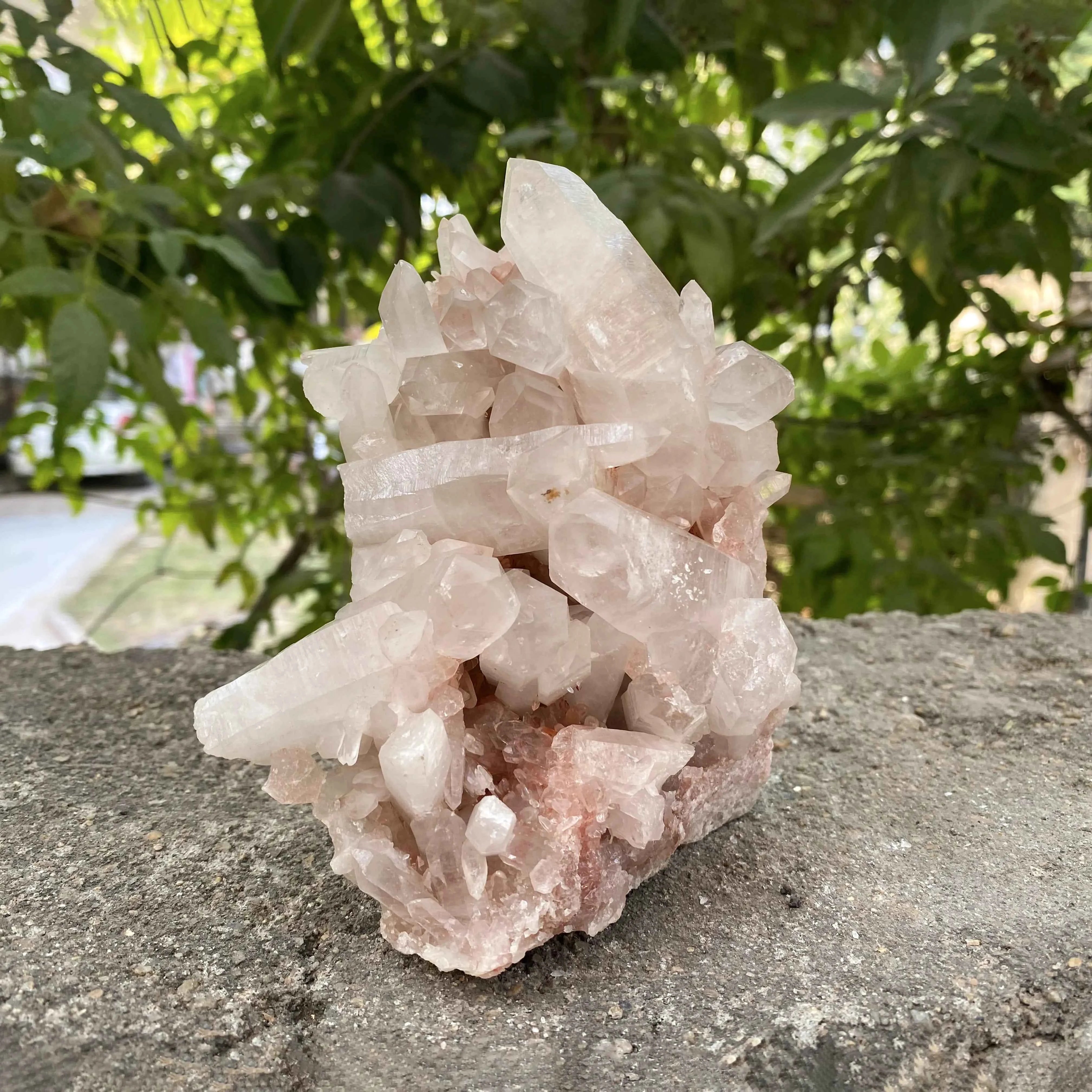 Natural Pink Himalayan Samadhi Quartz Crystal Cluster Healing Mineral Display